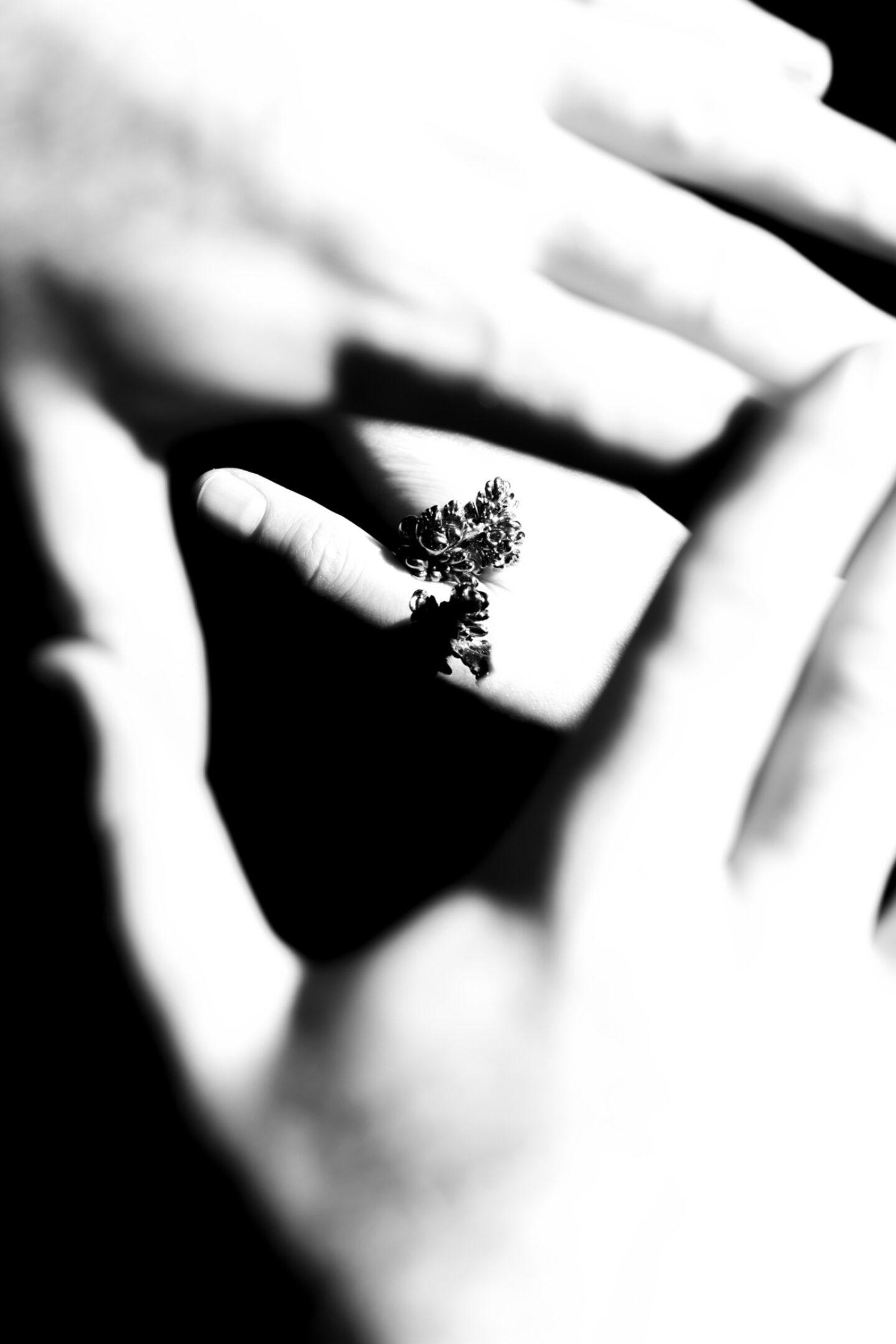 Concept Photo 2022 Fahim K 6 W9 A5878 edit