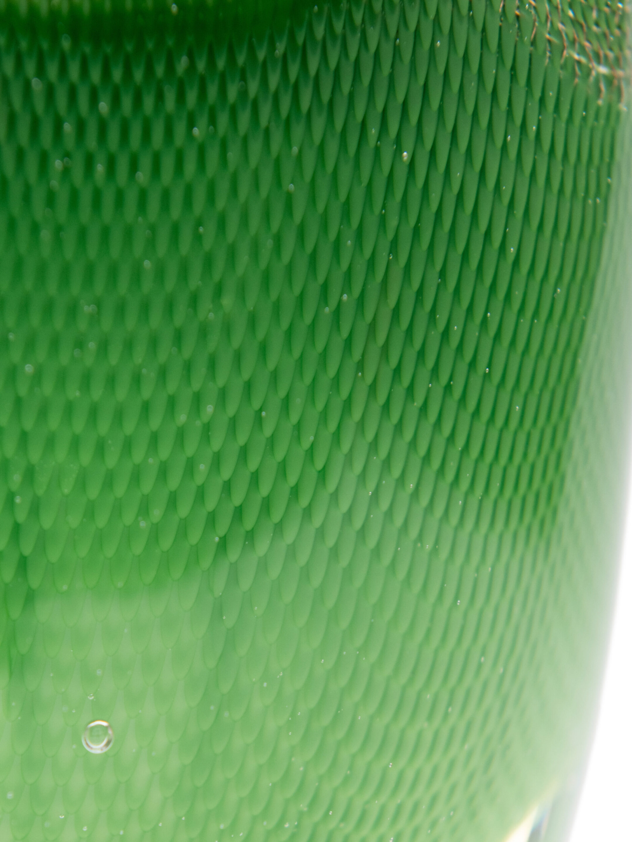 84 2025 11 Pillow