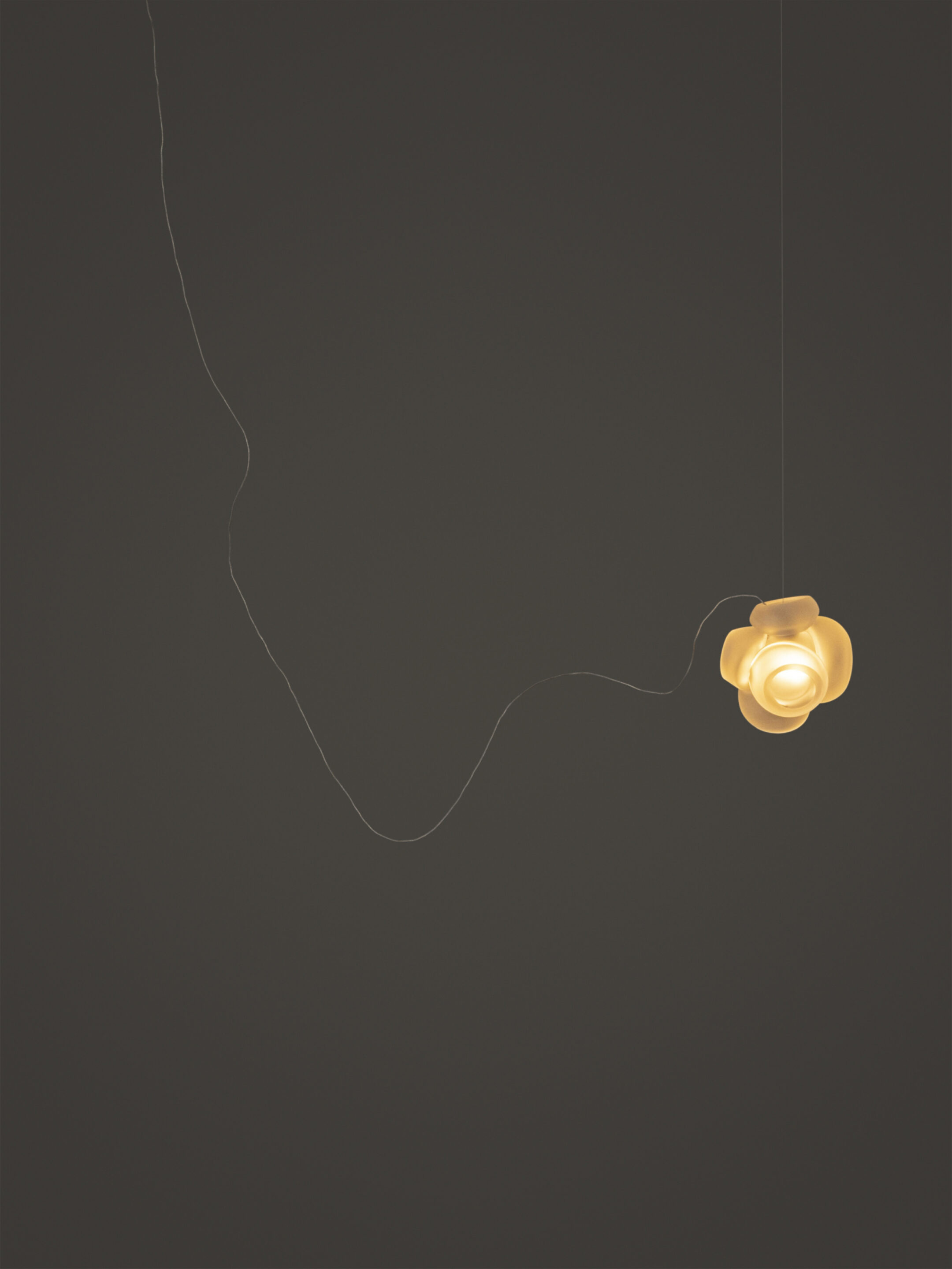 100 1 Sculptural Cable Nickel Clear Dark
