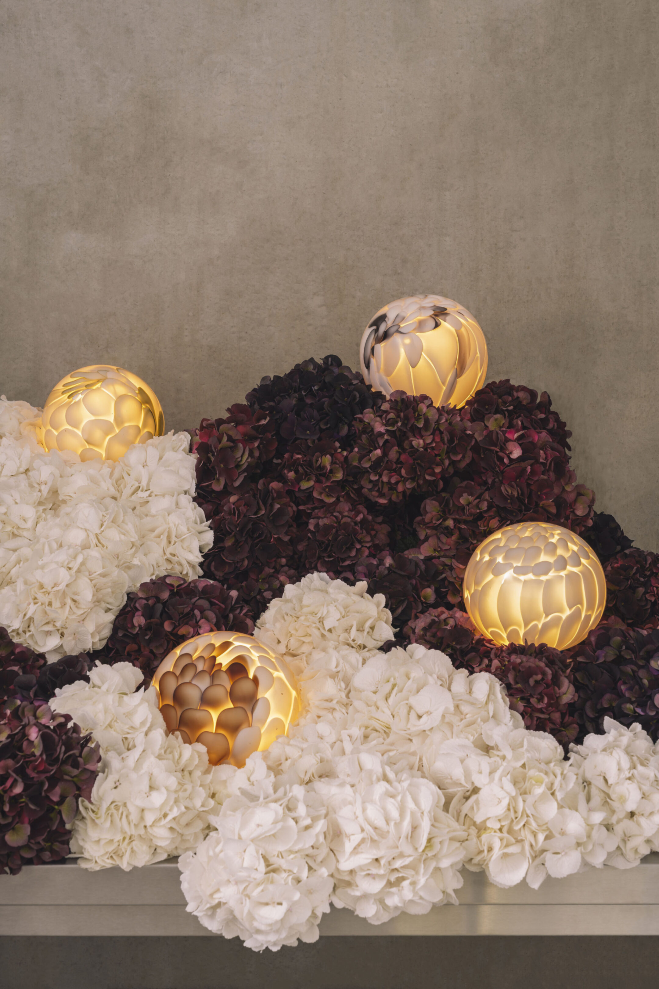 Campaign 118p studio lilo Clemens P 6