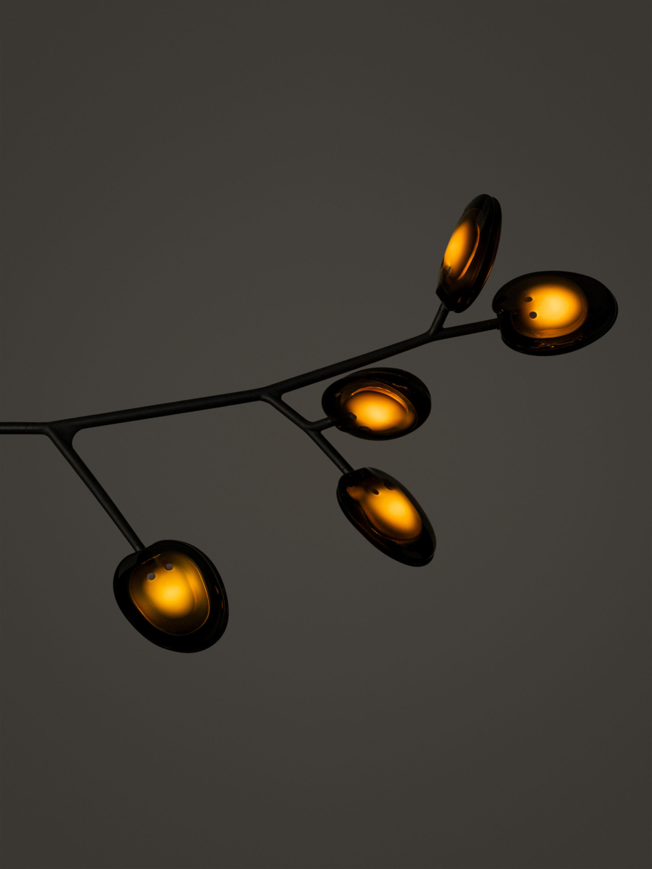 16 5 Armature Segment Grey2 Dark