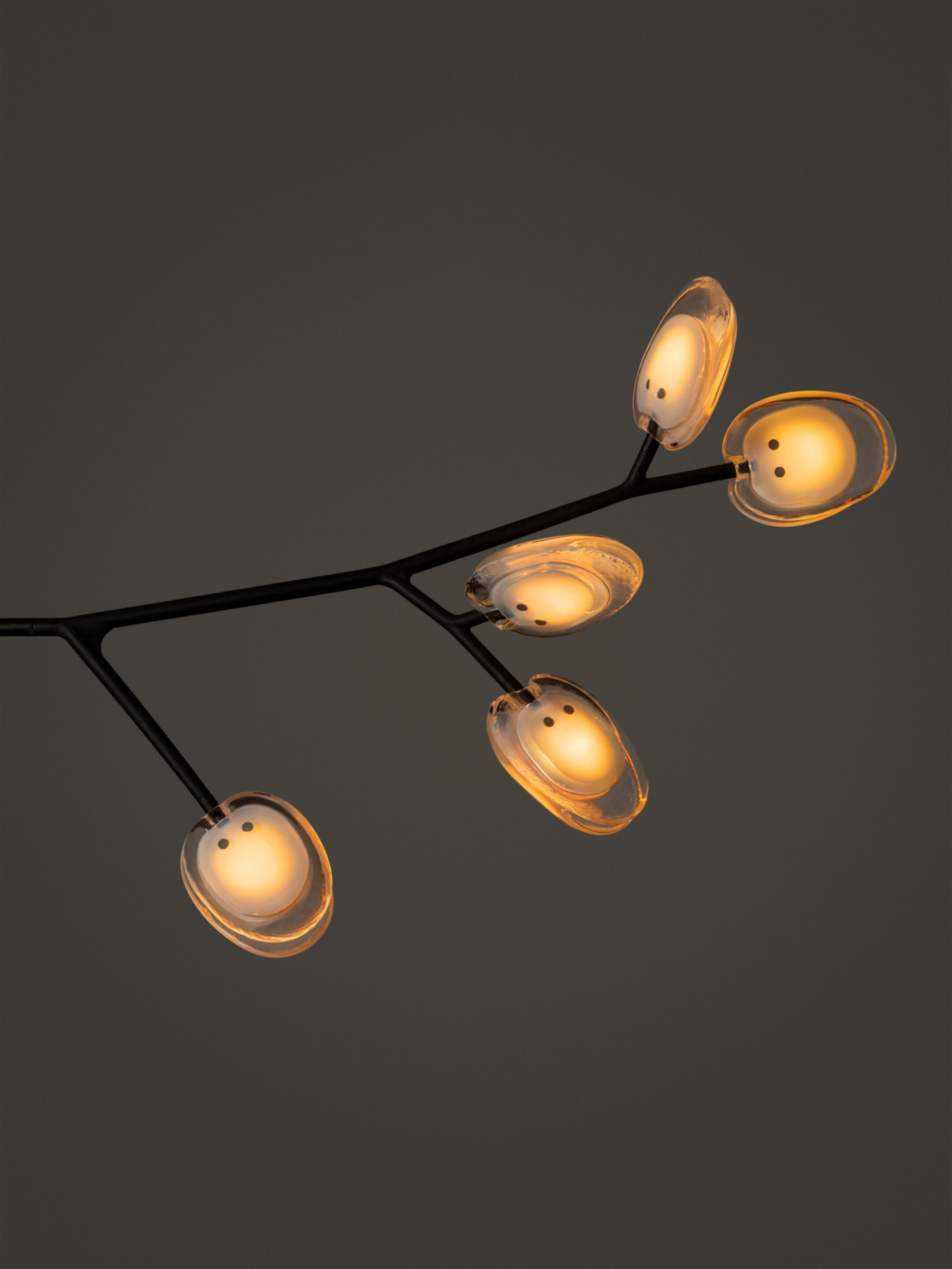 16 5 Armature Segment White1 Dark