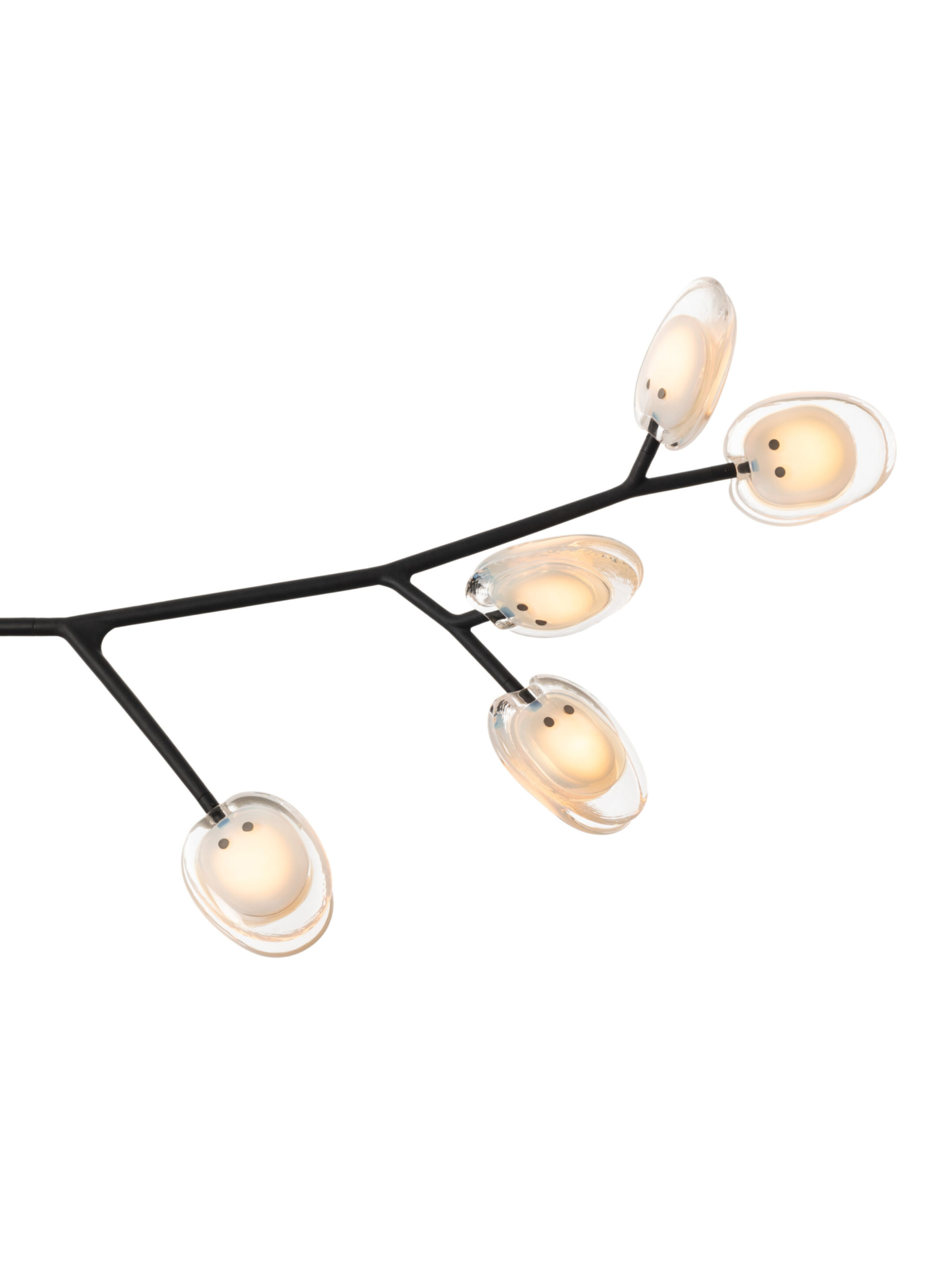 16 5 Armature Segment White1 On