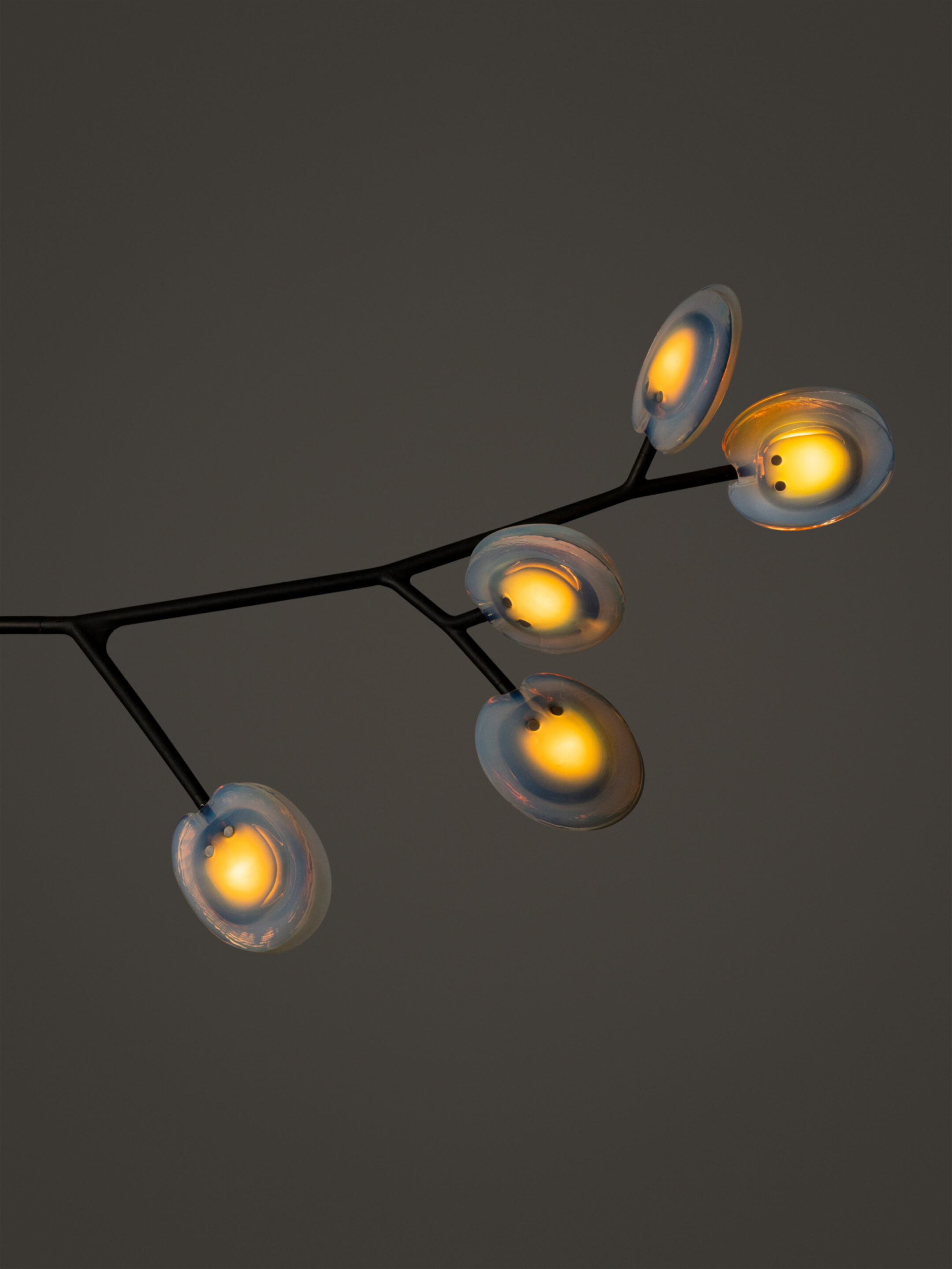 16 5 Armature Segment White2 Dark
