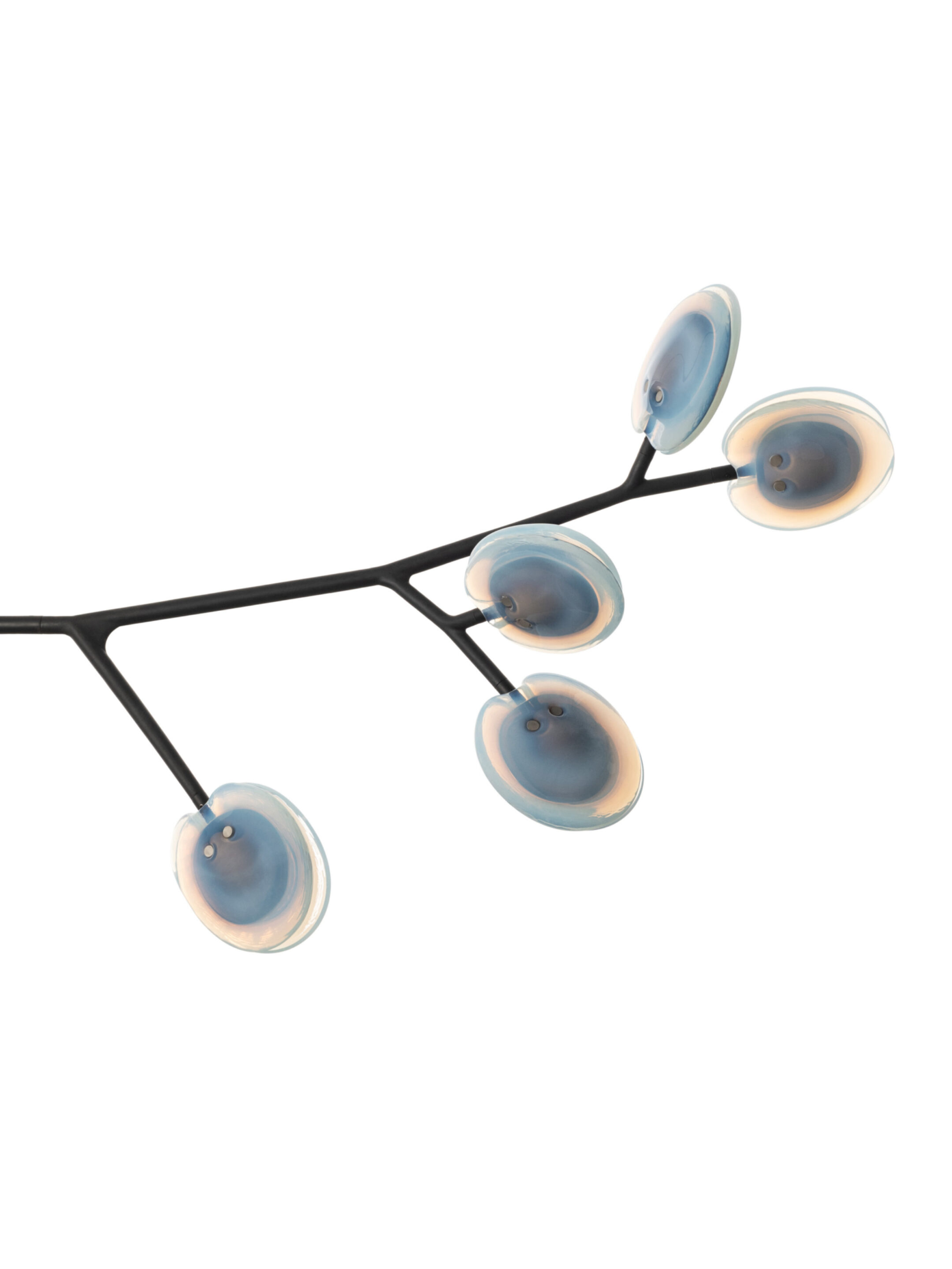 16 5 Armature Segment White2 Off
