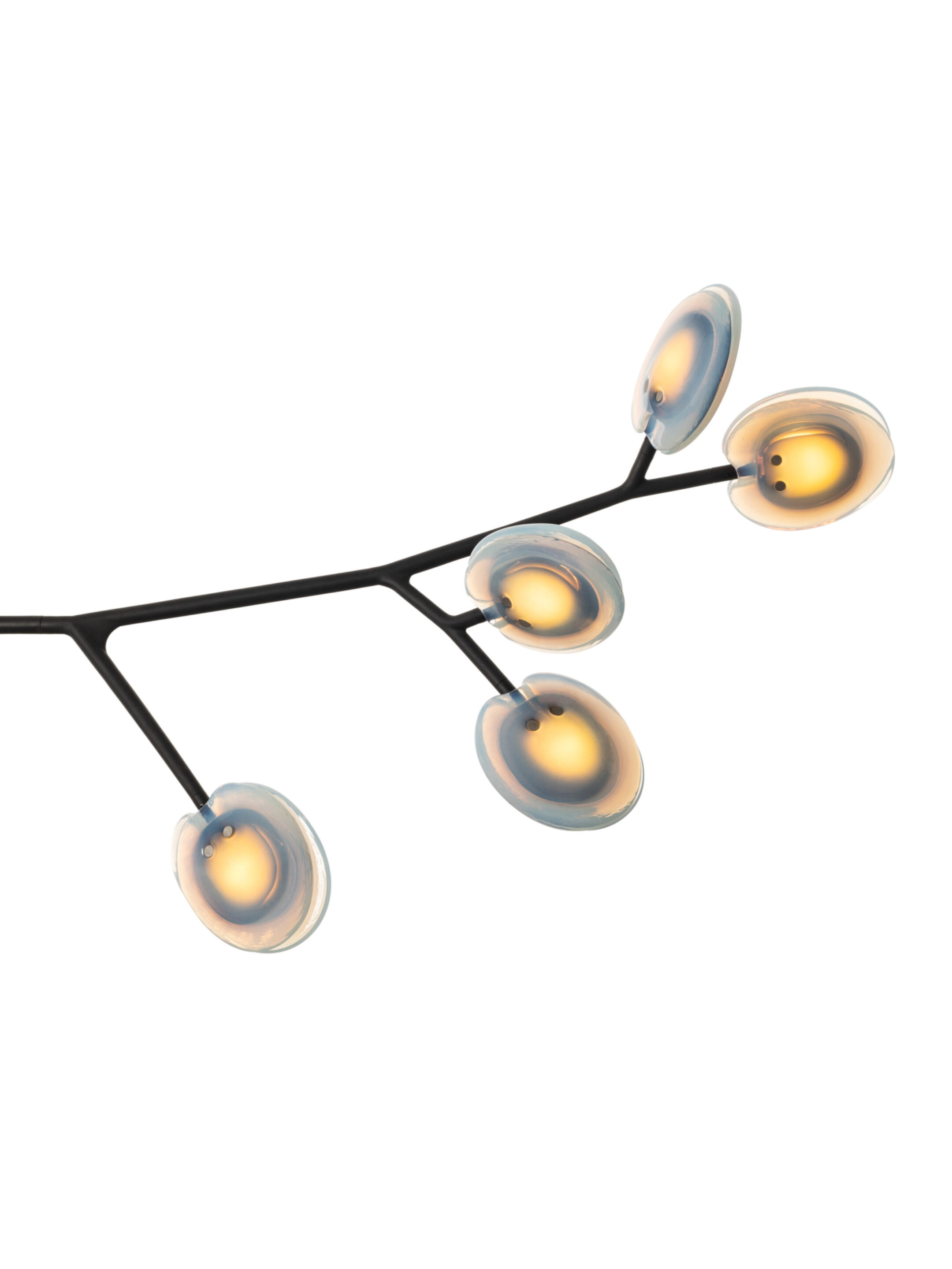 16 5 Armature Segment White2 On