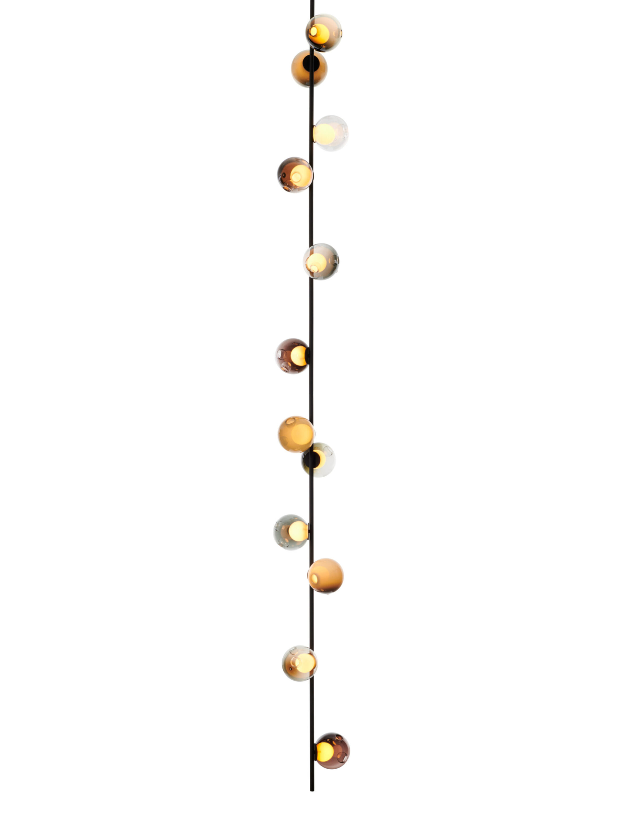 28 12 Ceiling Black Neutrals On