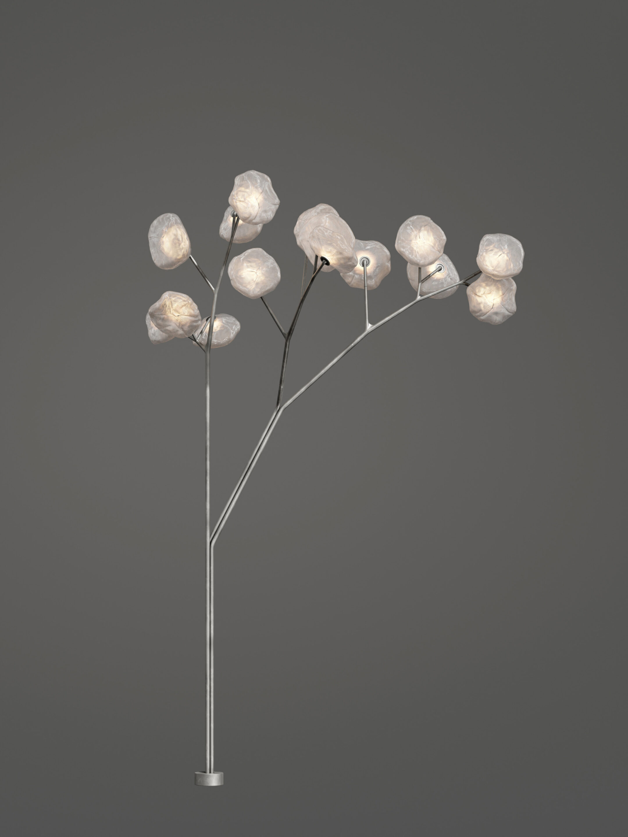 73 15 Tree Clear Dark