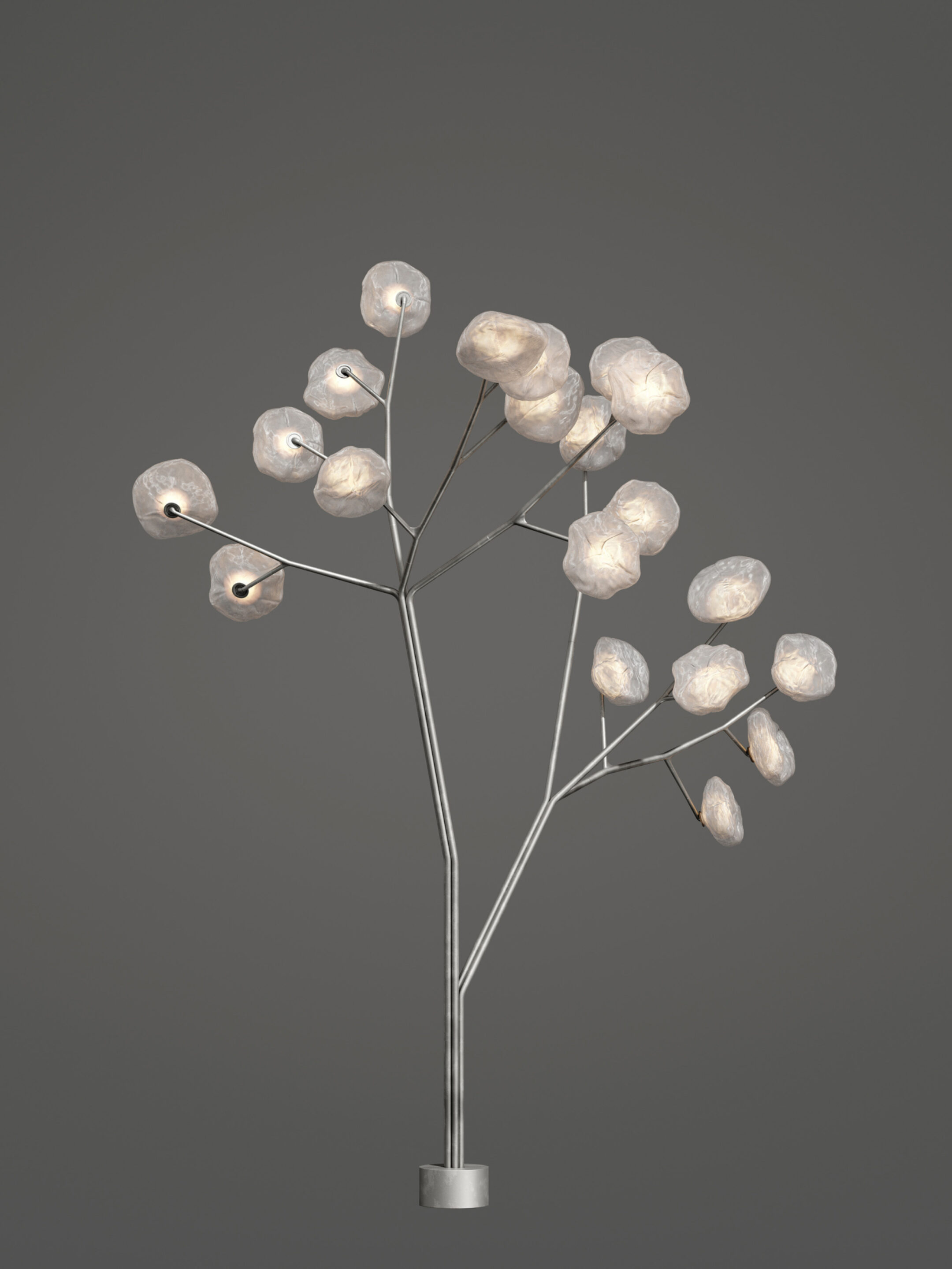 73 20 Tree Clear Dark