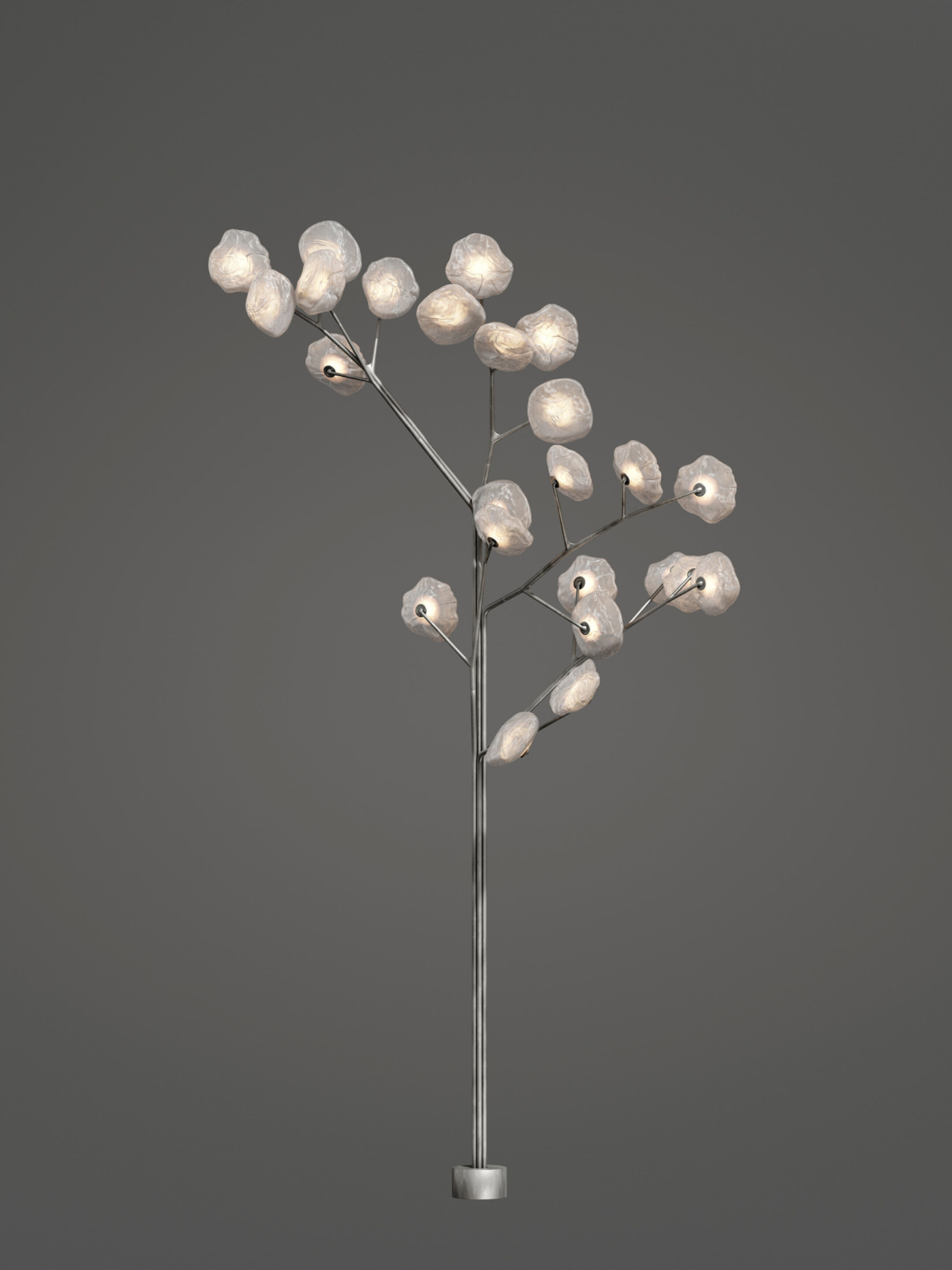 73 25 Tree Clear Dark