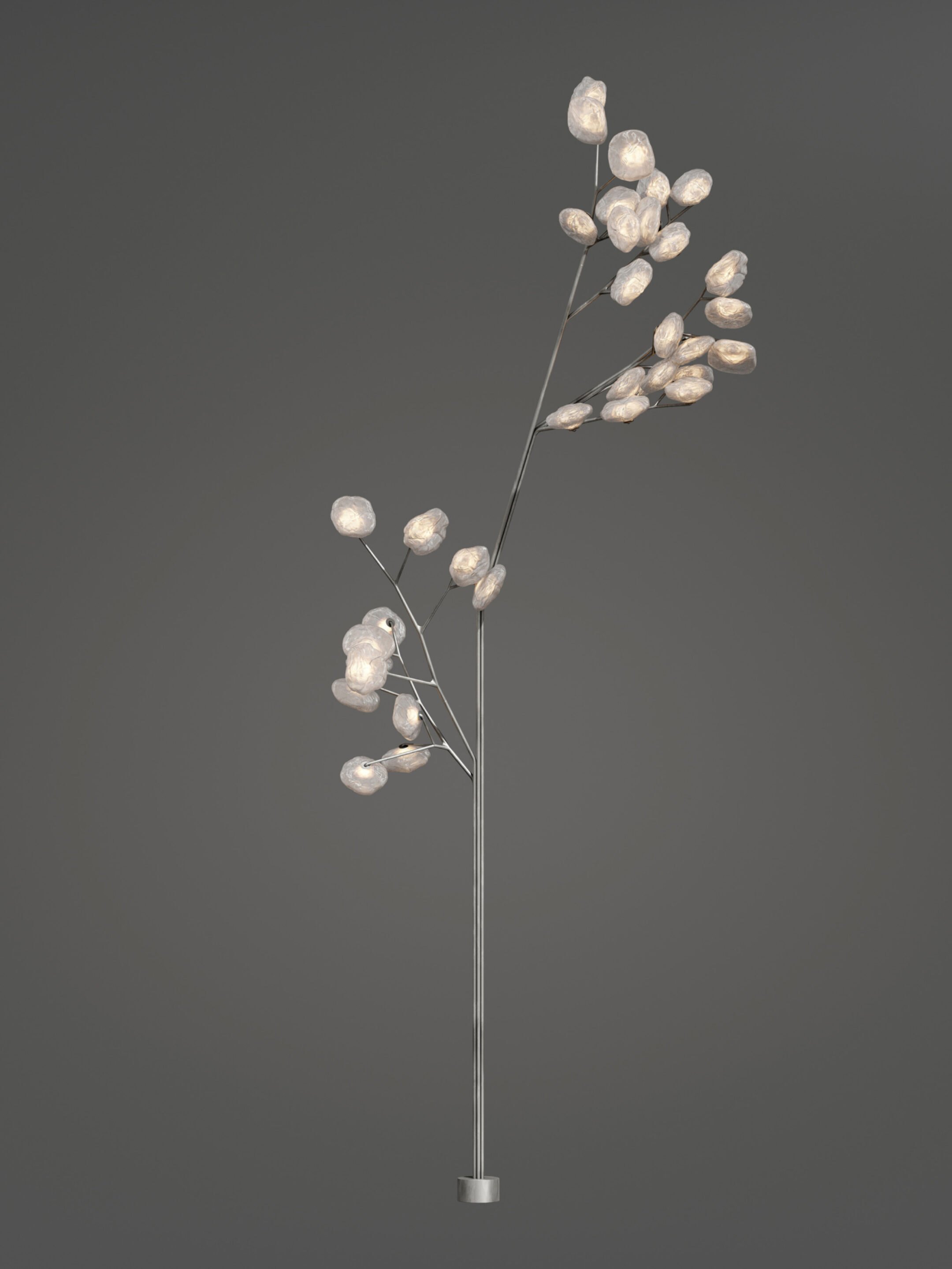 73 35 Tree Clear Dark