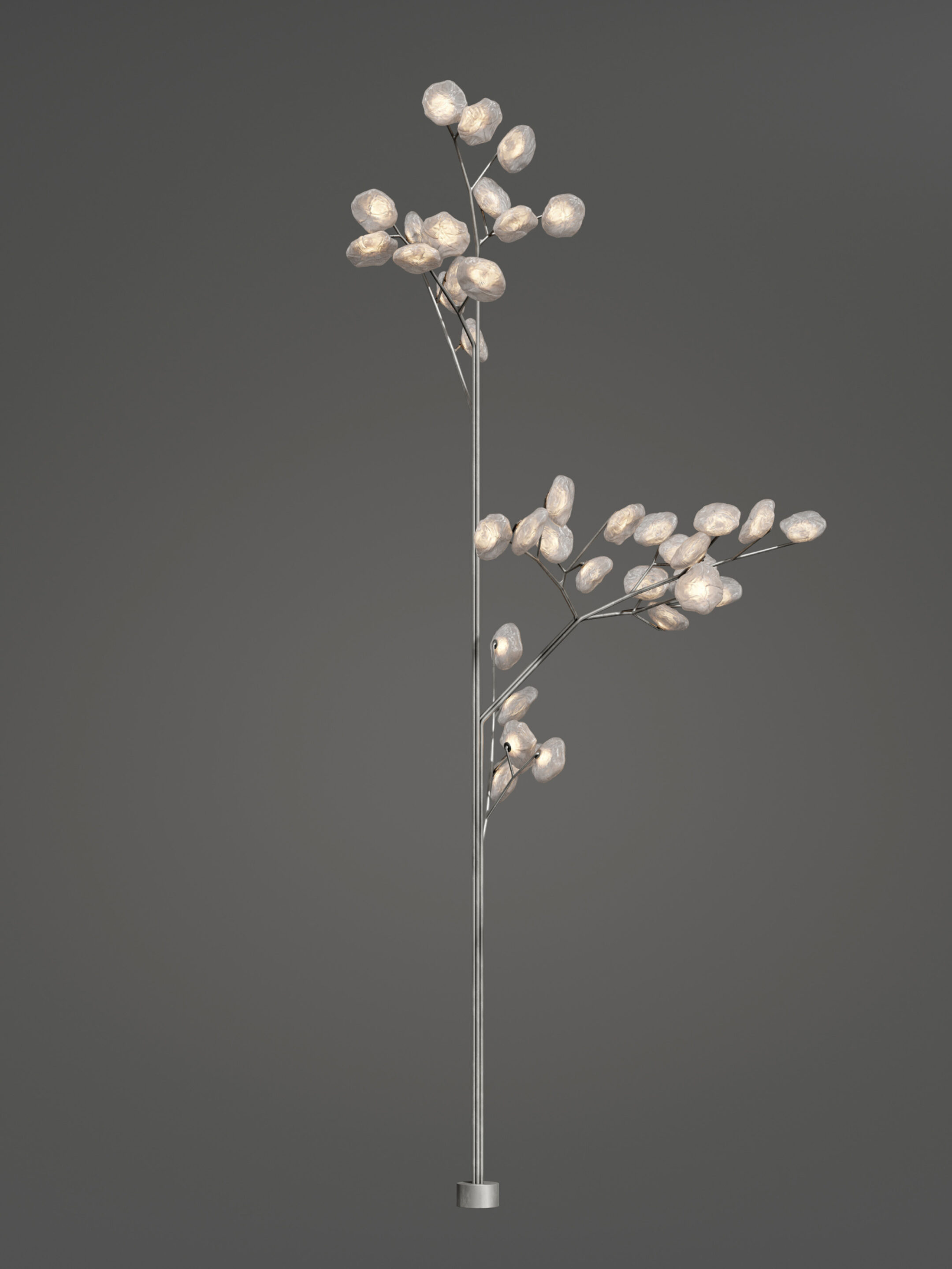 73 40 Tree Clear Dark