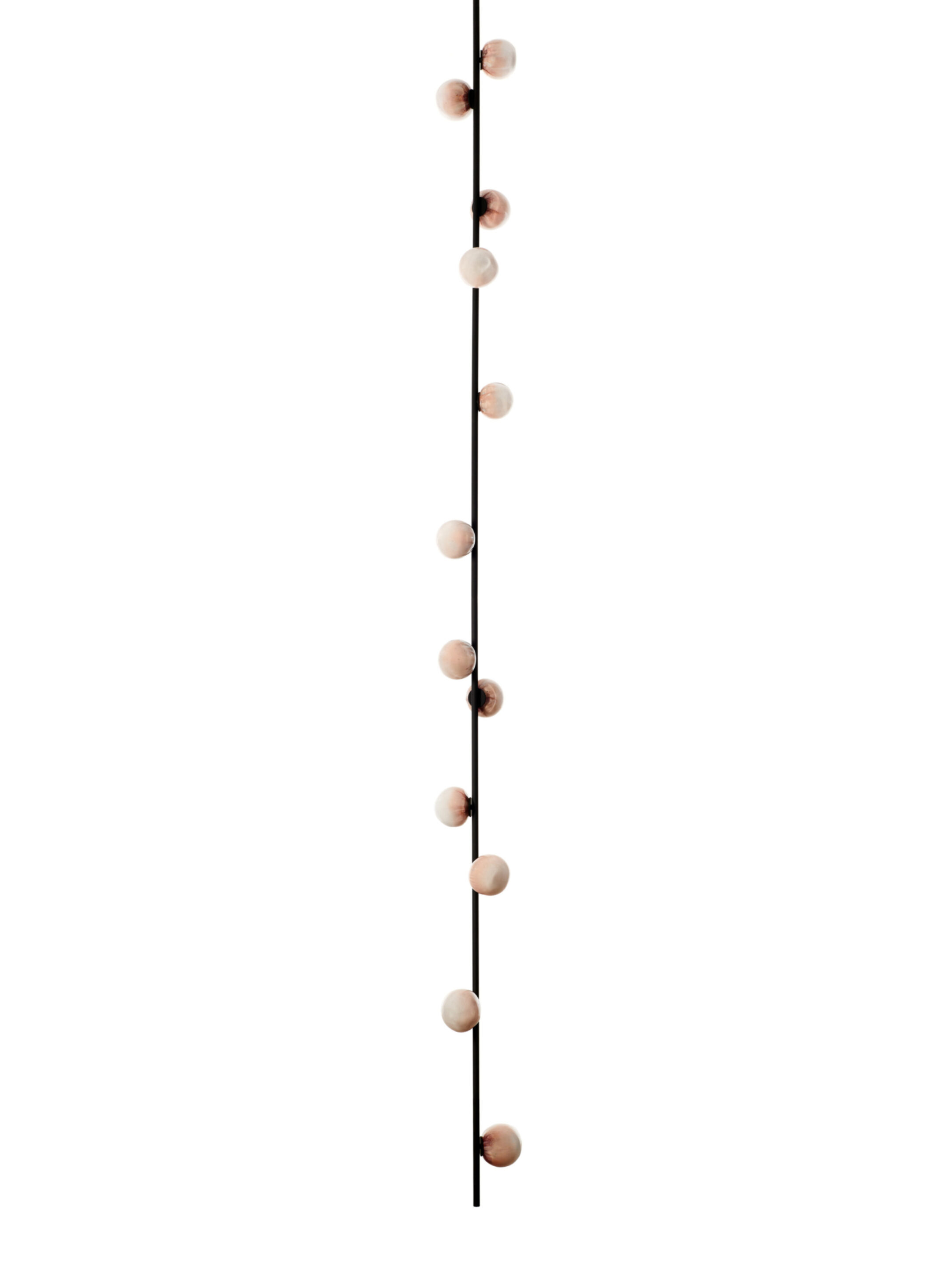 84 12 Ceiling Black Off