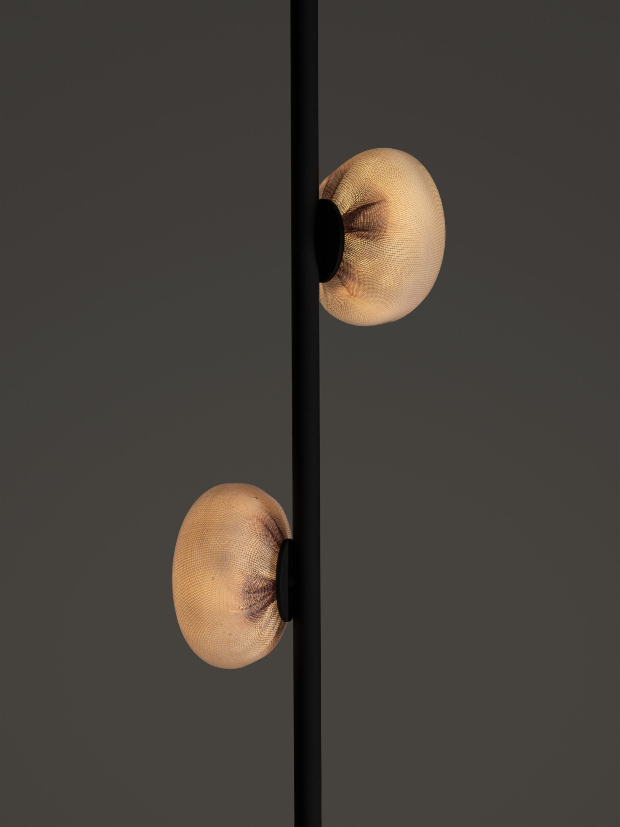 84v Ceiling Black Dark Detail
