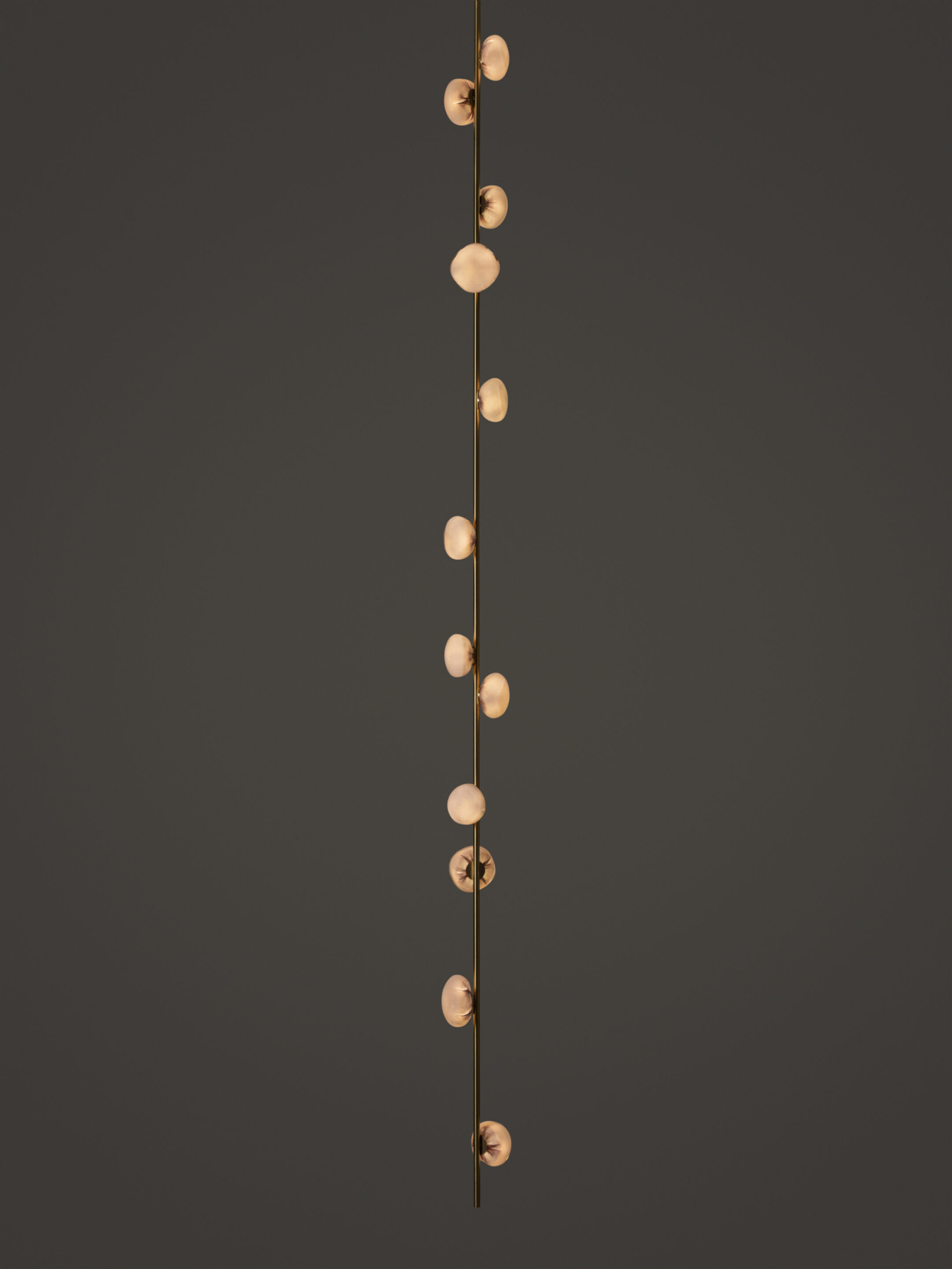 84v 12 Ceiling Brass Dark