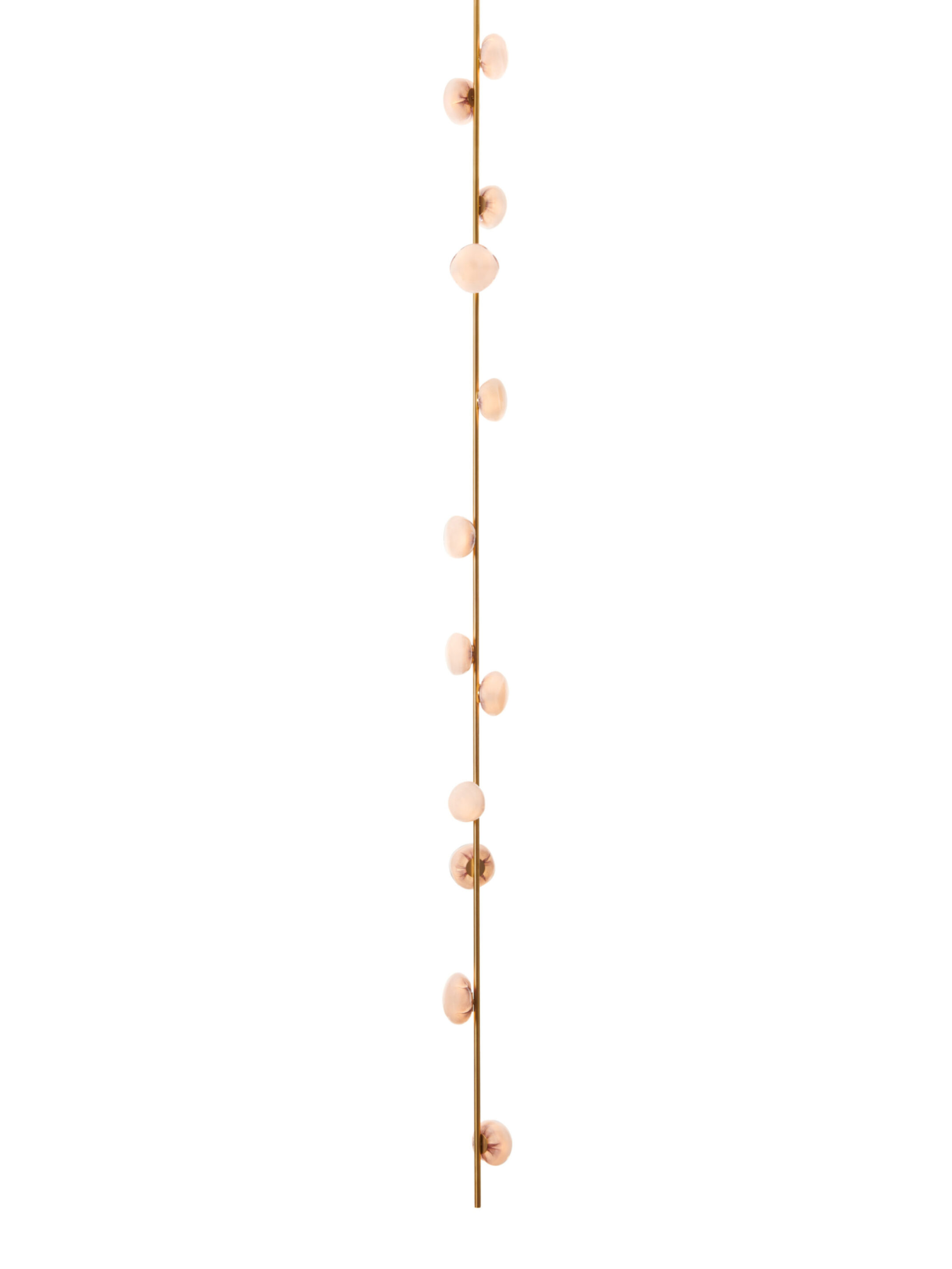 84v 12 Ceiling Brass On