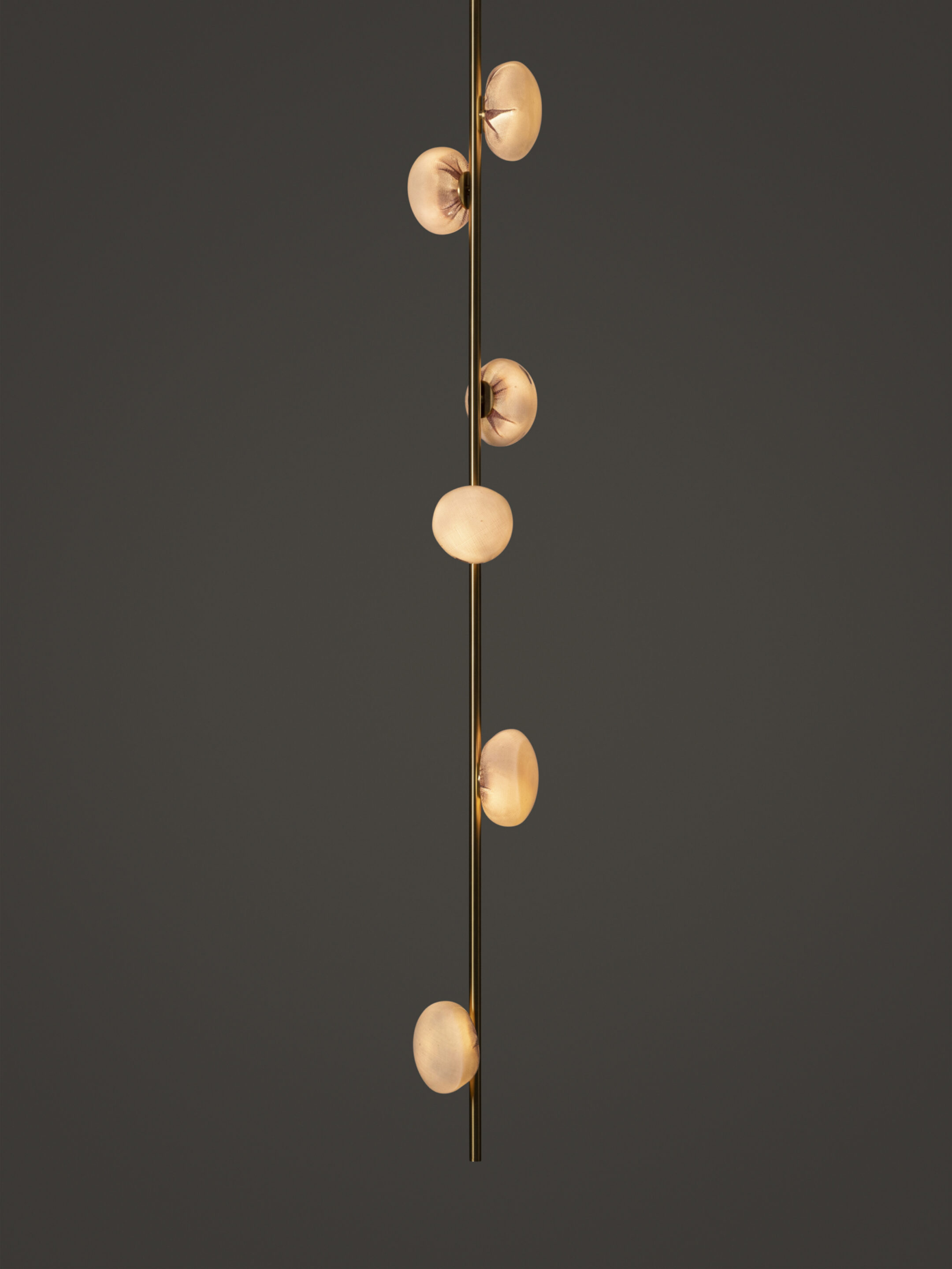 84v 6 Ceiling Brass Dark