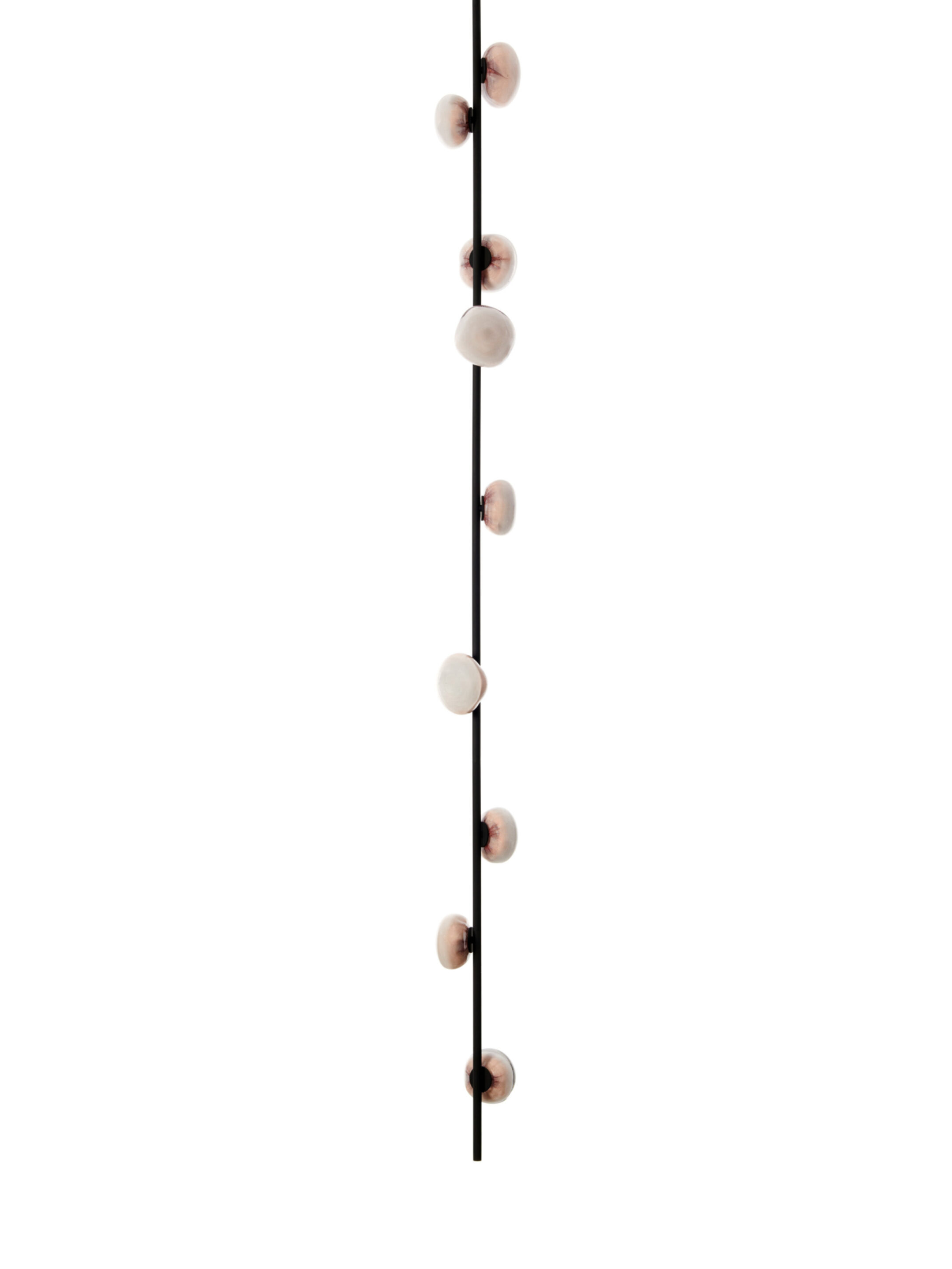 84v 9 Ceiling Black Off