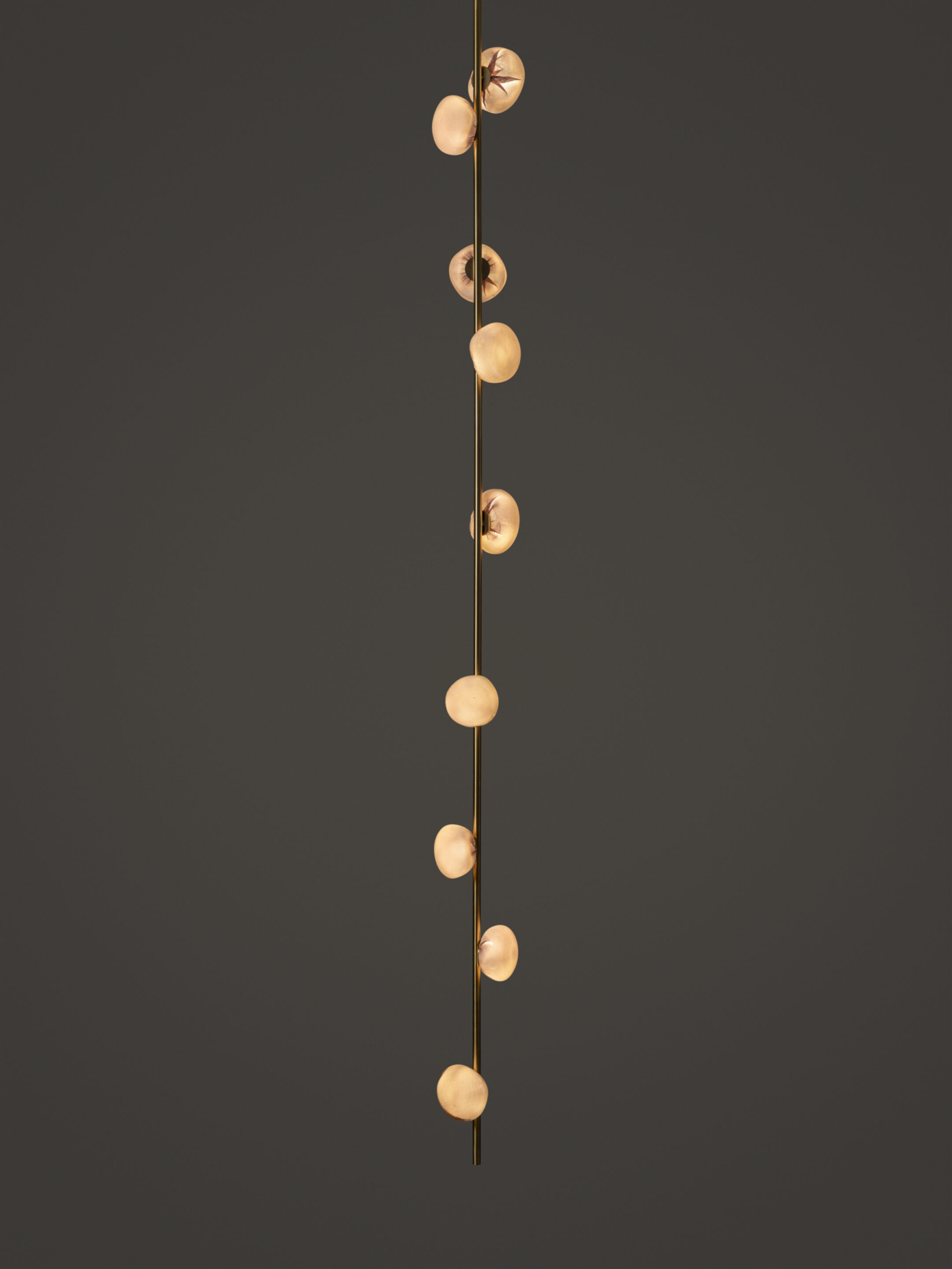 84v 9 Ceiling Brass Dark