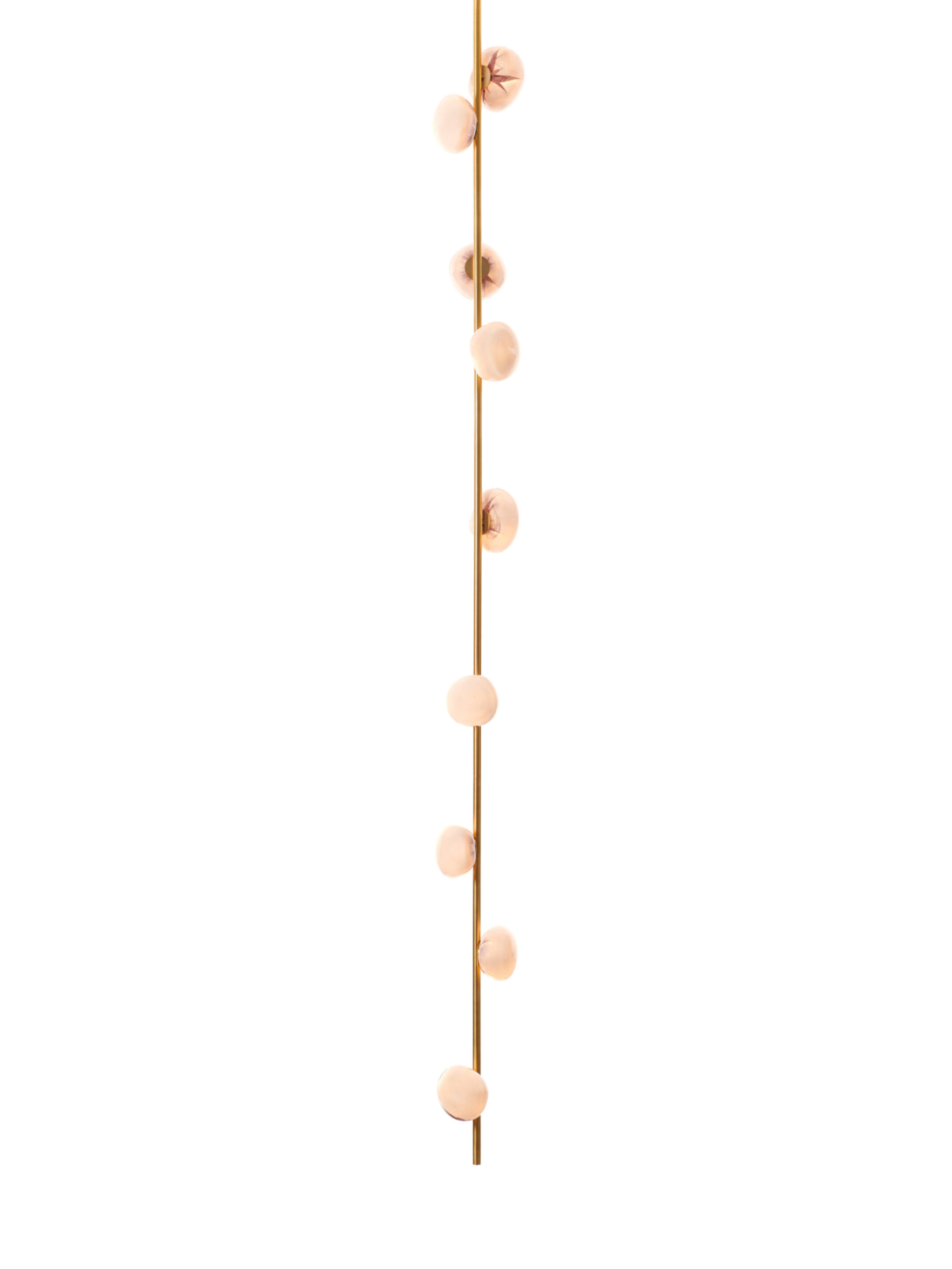 84v 9 Ceiling Brass On