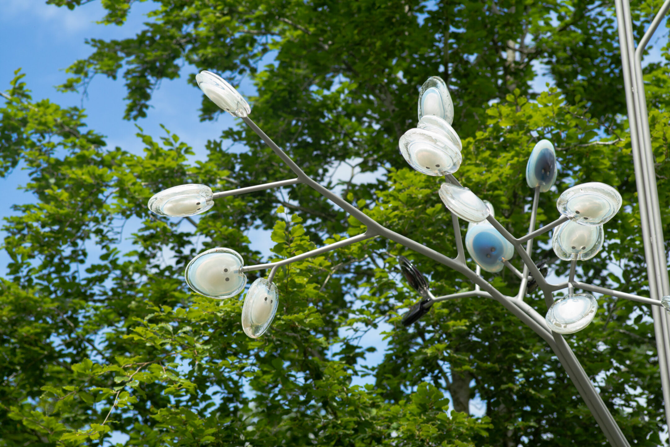 23 2 16 Tree Fahim K 0769