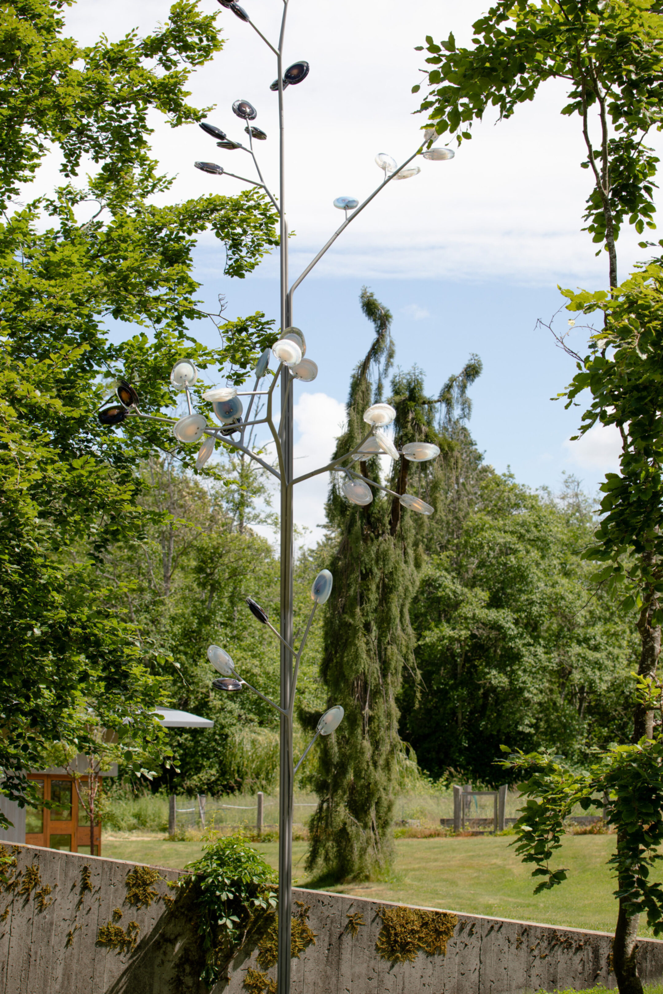 23 2 16 Tree Fahim K 2391