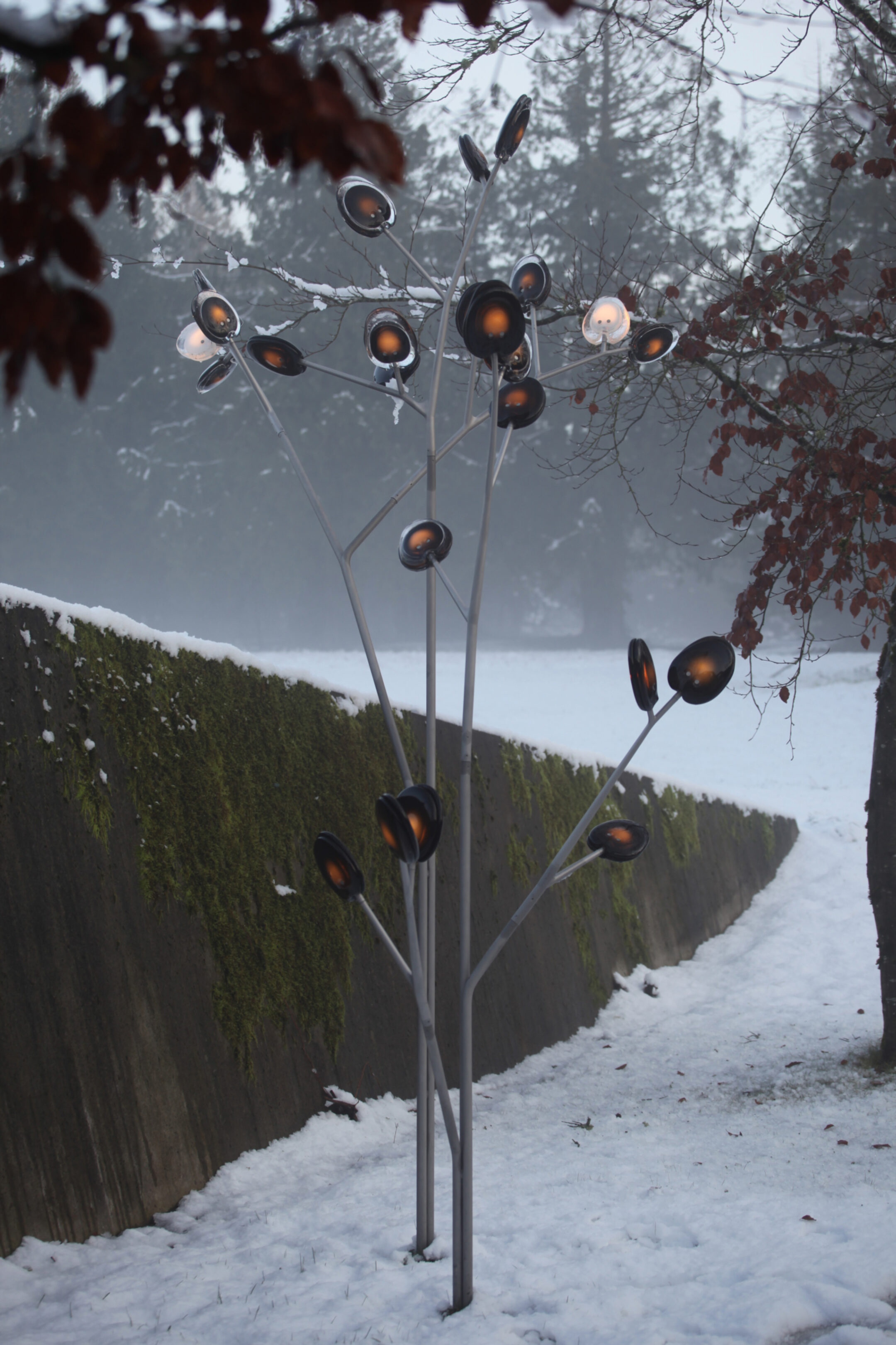 23 2 16 Tree Randy B 9286