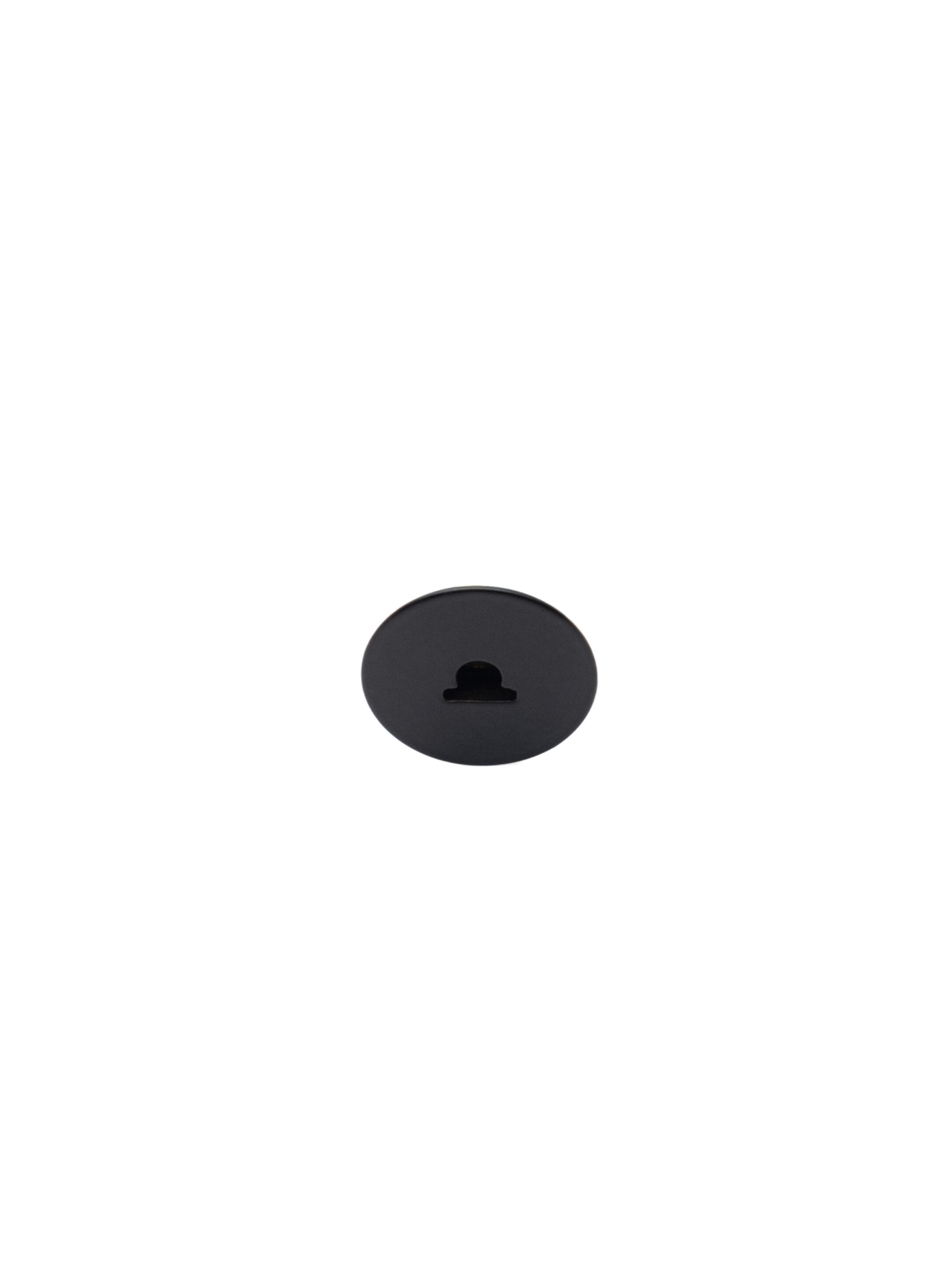 Canopy Mini Flush Mount Black Cutout
