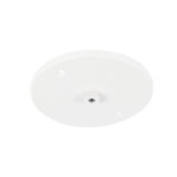 Shallow White