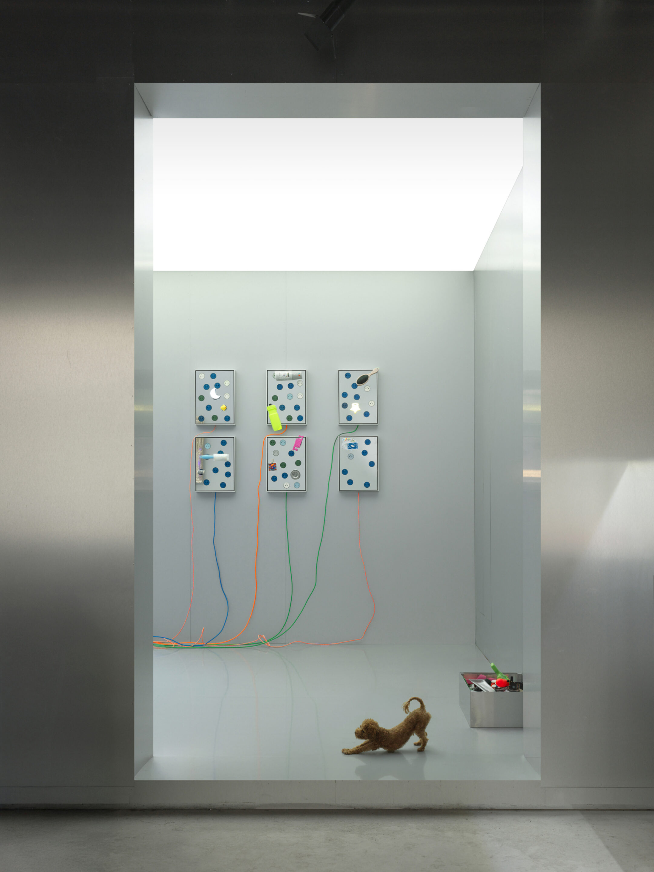 Matter and shape gallery 22 Jenya F dog 16rr189