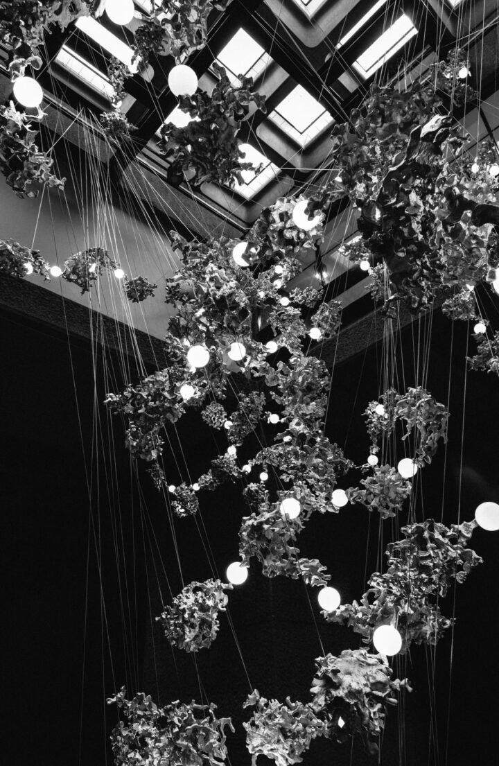 Barbican 44 TobiasF 03 BW