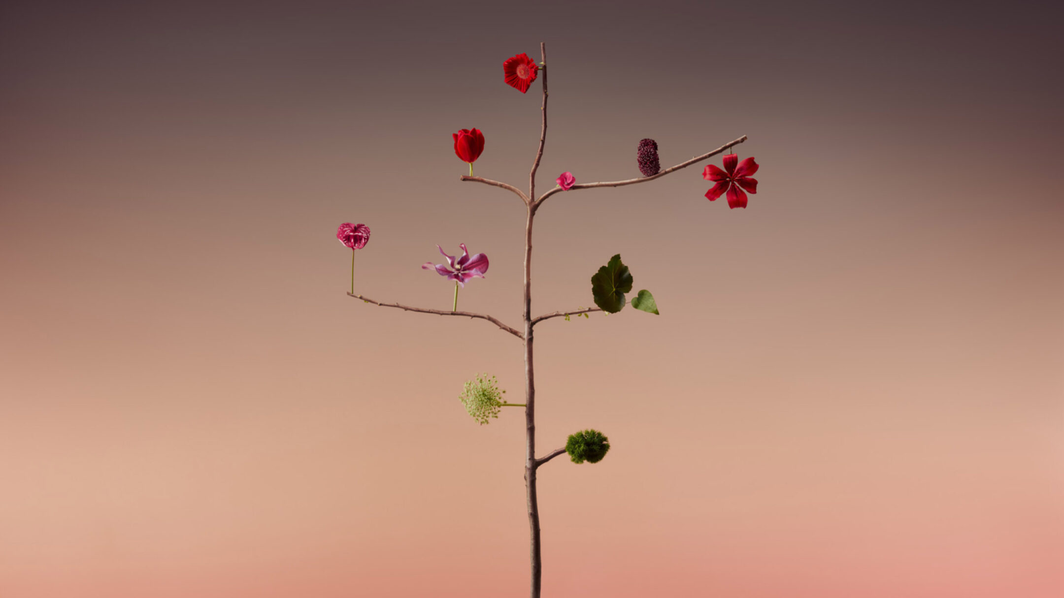 Duality 28 flora Fahim K 2913 16x9