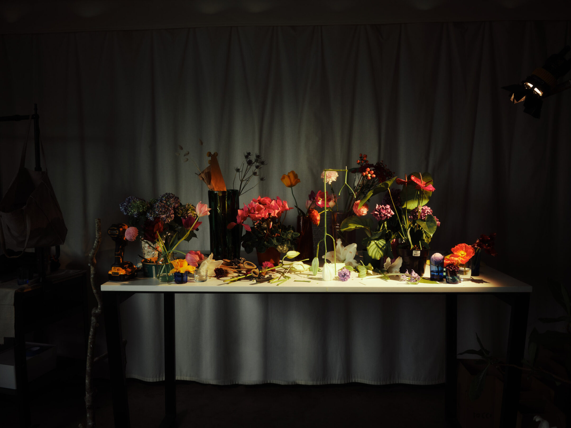 Duality bts flora Fahim K 4427