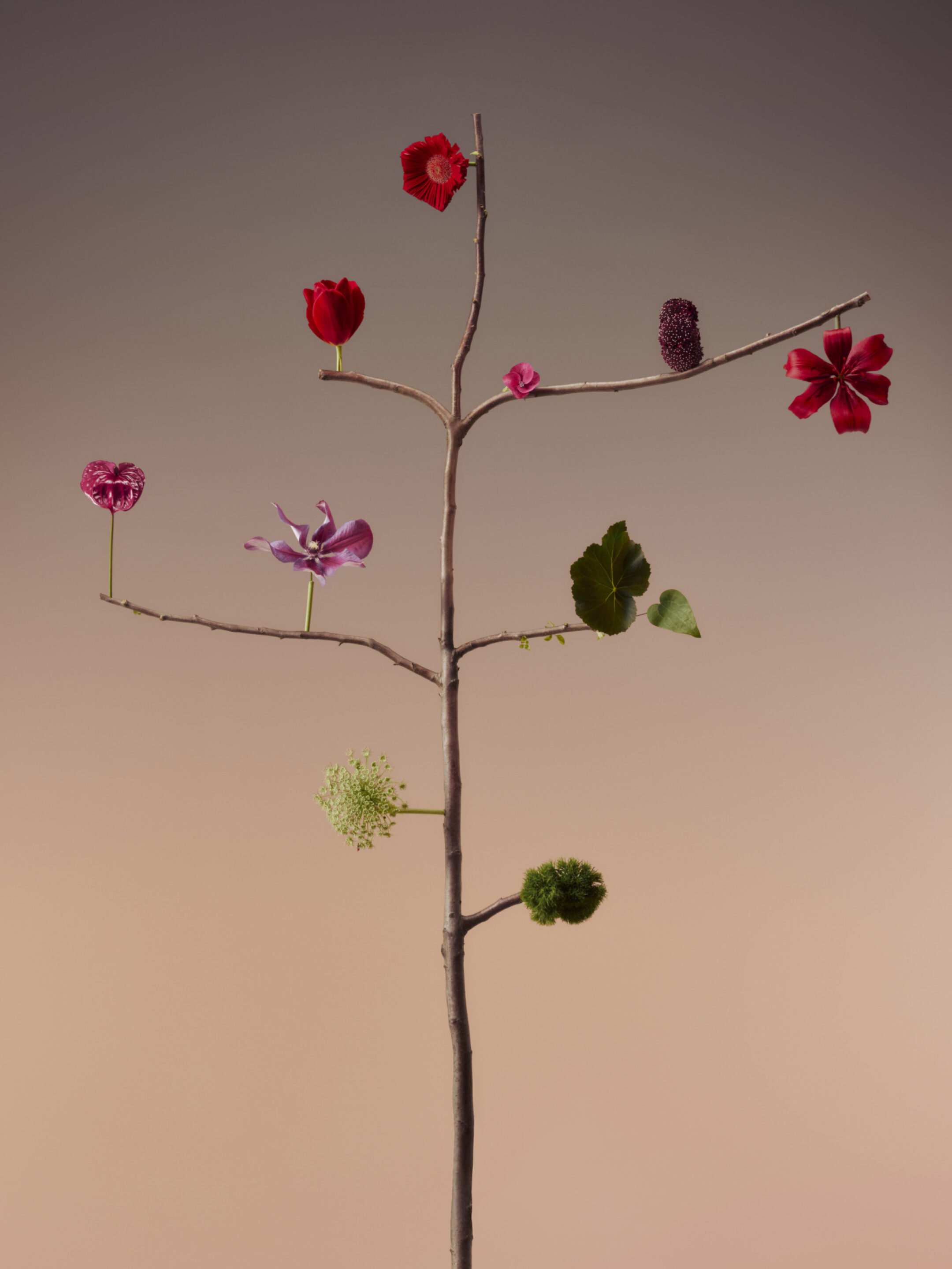 Duality 28 flora Fahim K 2913