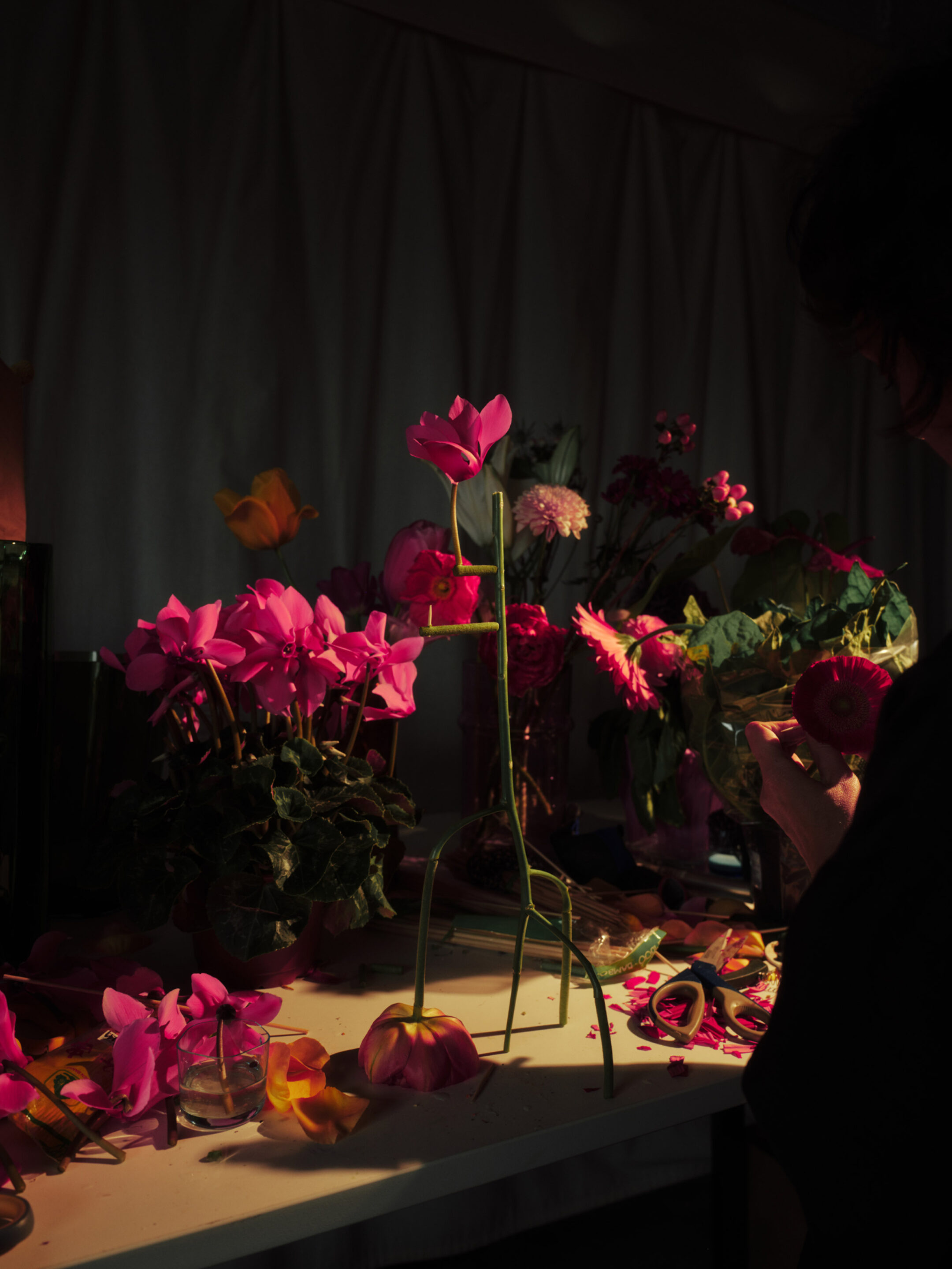 Duality bts flora Fahim K 4416