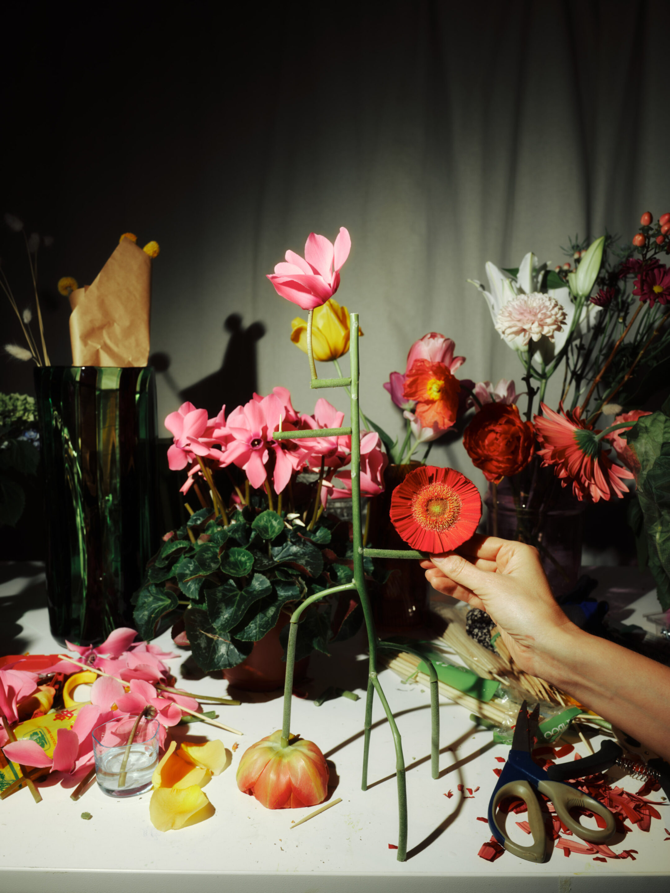 Duality bts flora Fahim K 4422