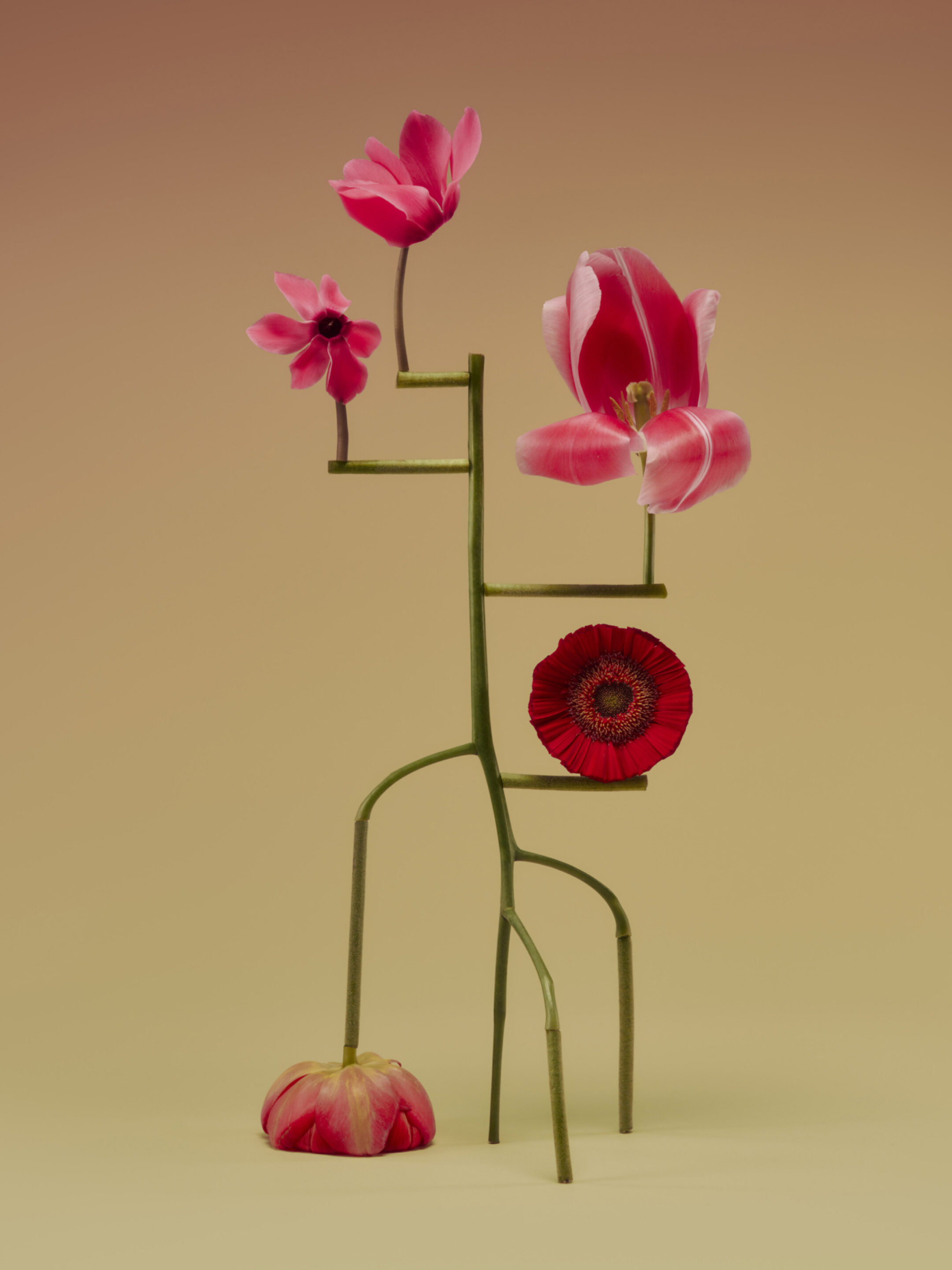 Duality 28 flora Fahim K 3057