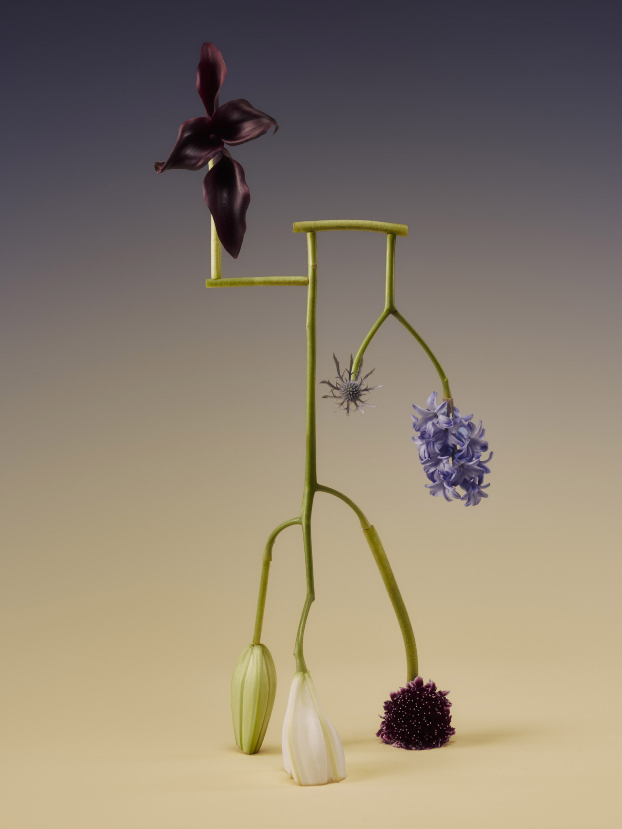 Duality 28 flora Fahim K 3074