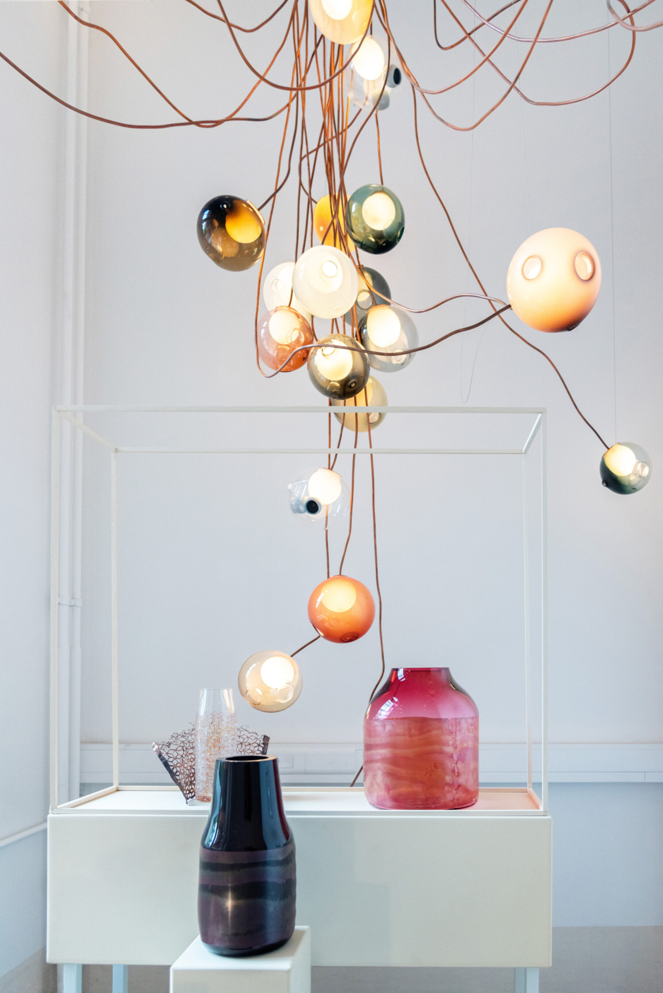 Elegant Speciment Bocci 28c 4573