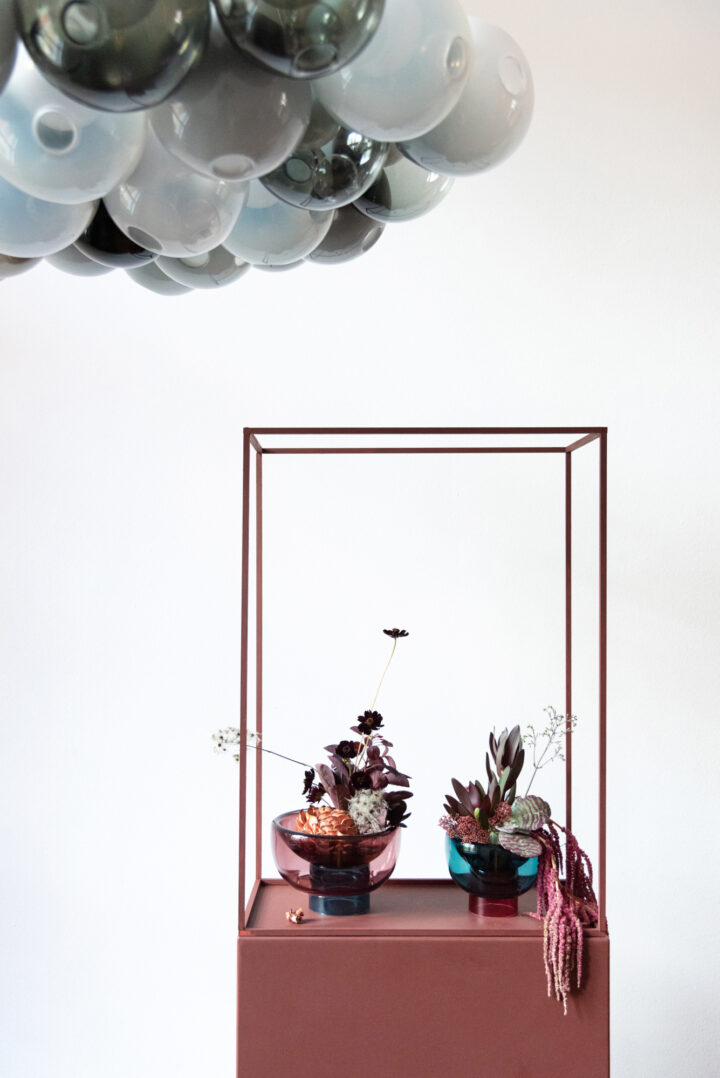 Elegant Speciment Bocci 28 4964